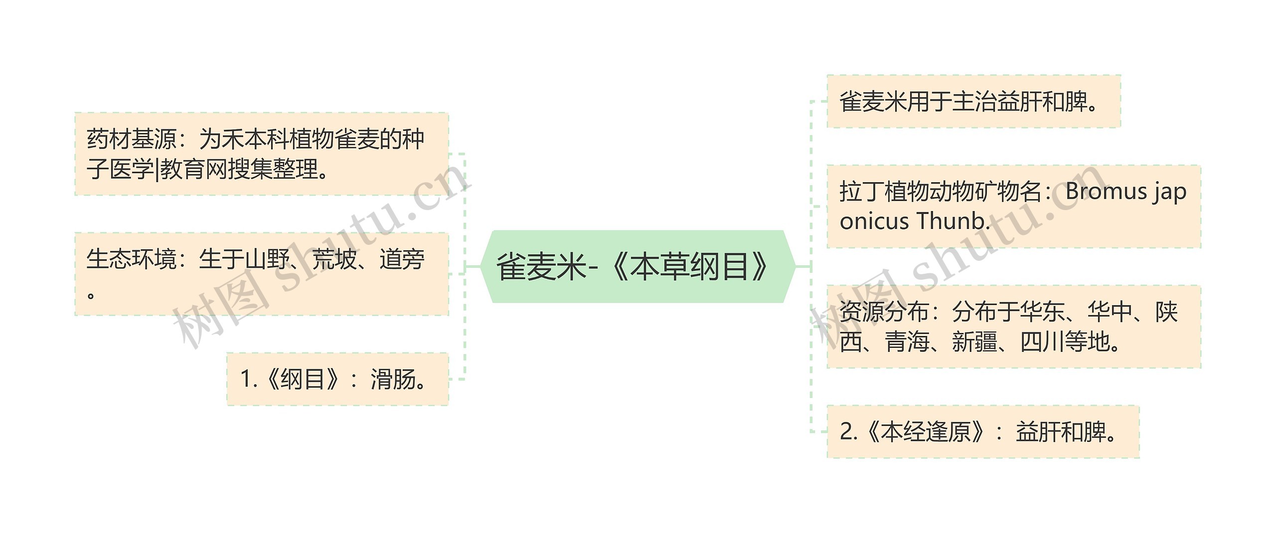 雀麦米-《本草纲目》思维导图