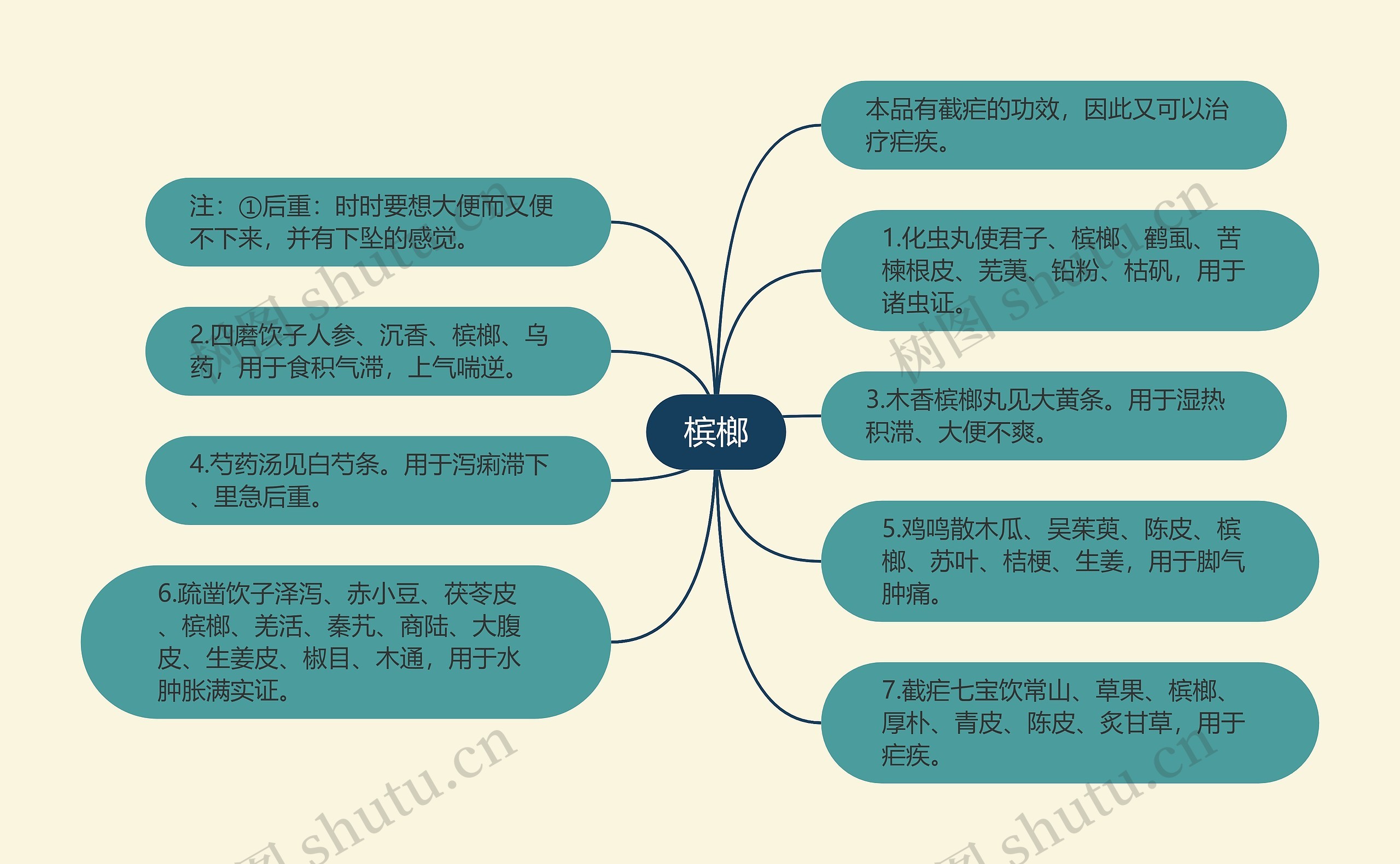 槟榔思维导图