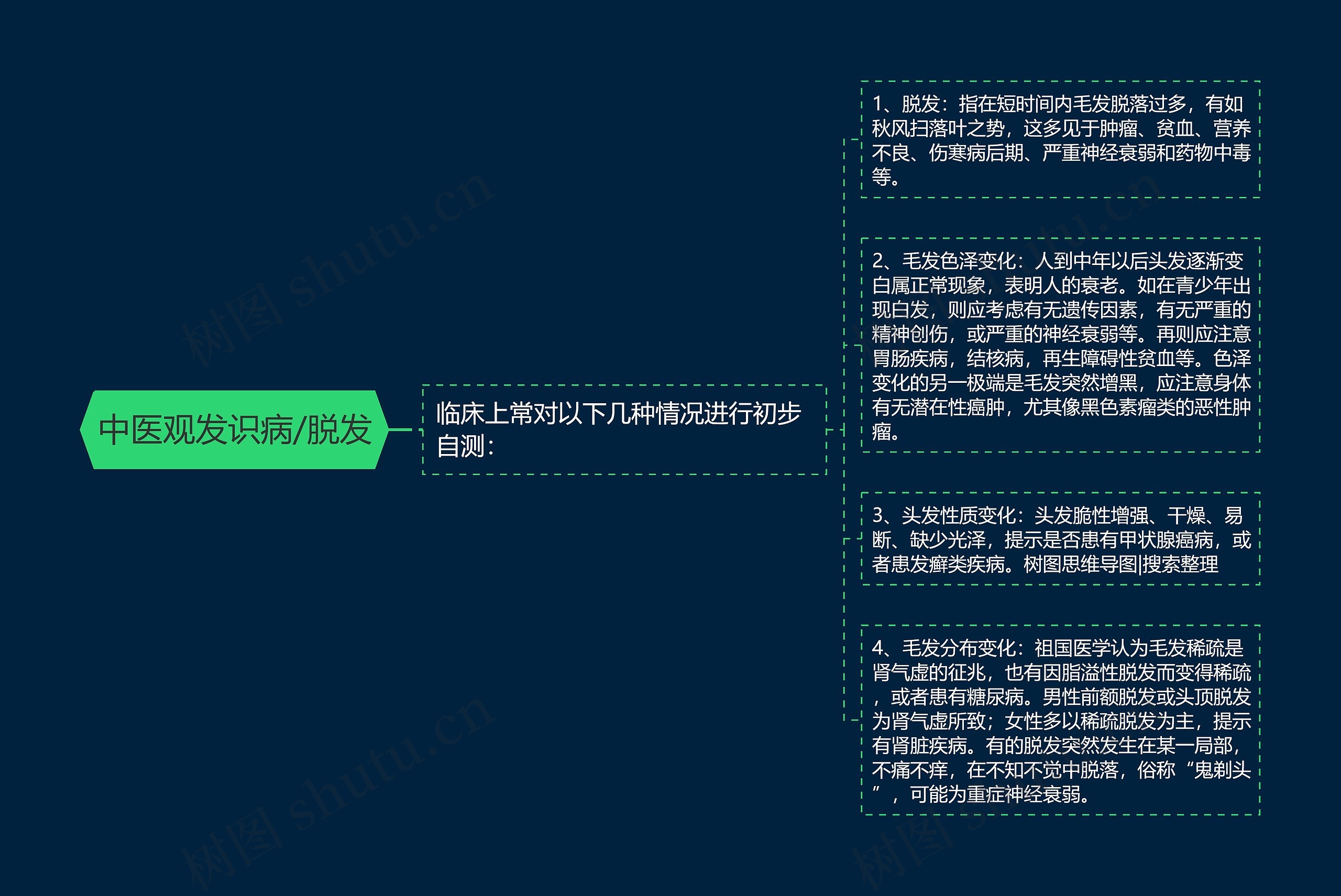 中医观发识病/脱发思维导图