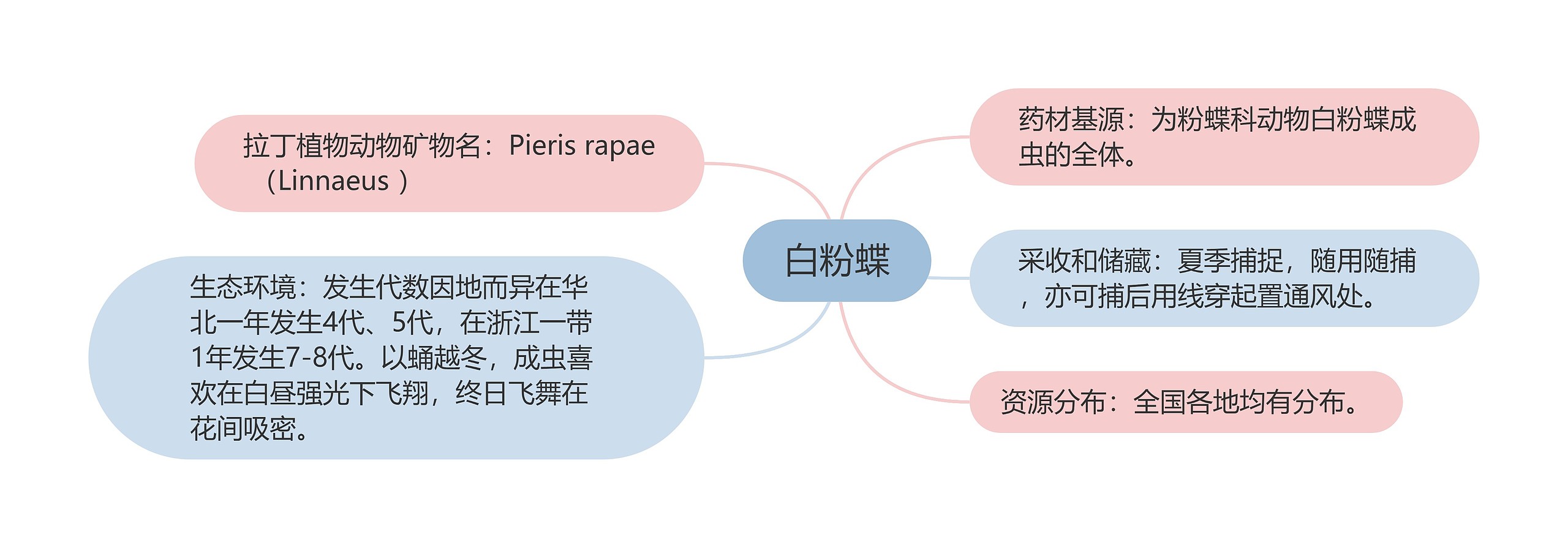 白粉蝶思维导图