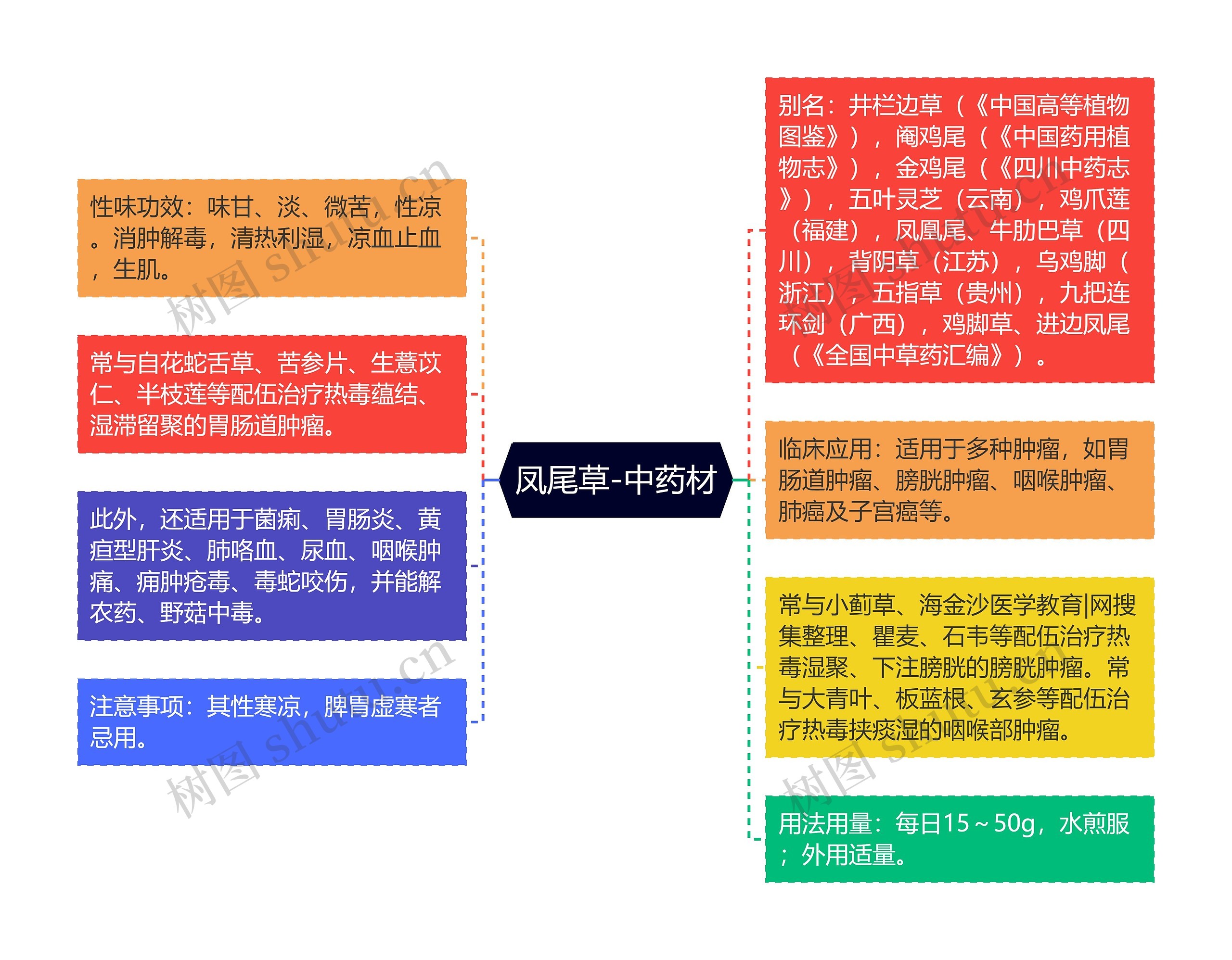 凤尾草-中药材思维导图