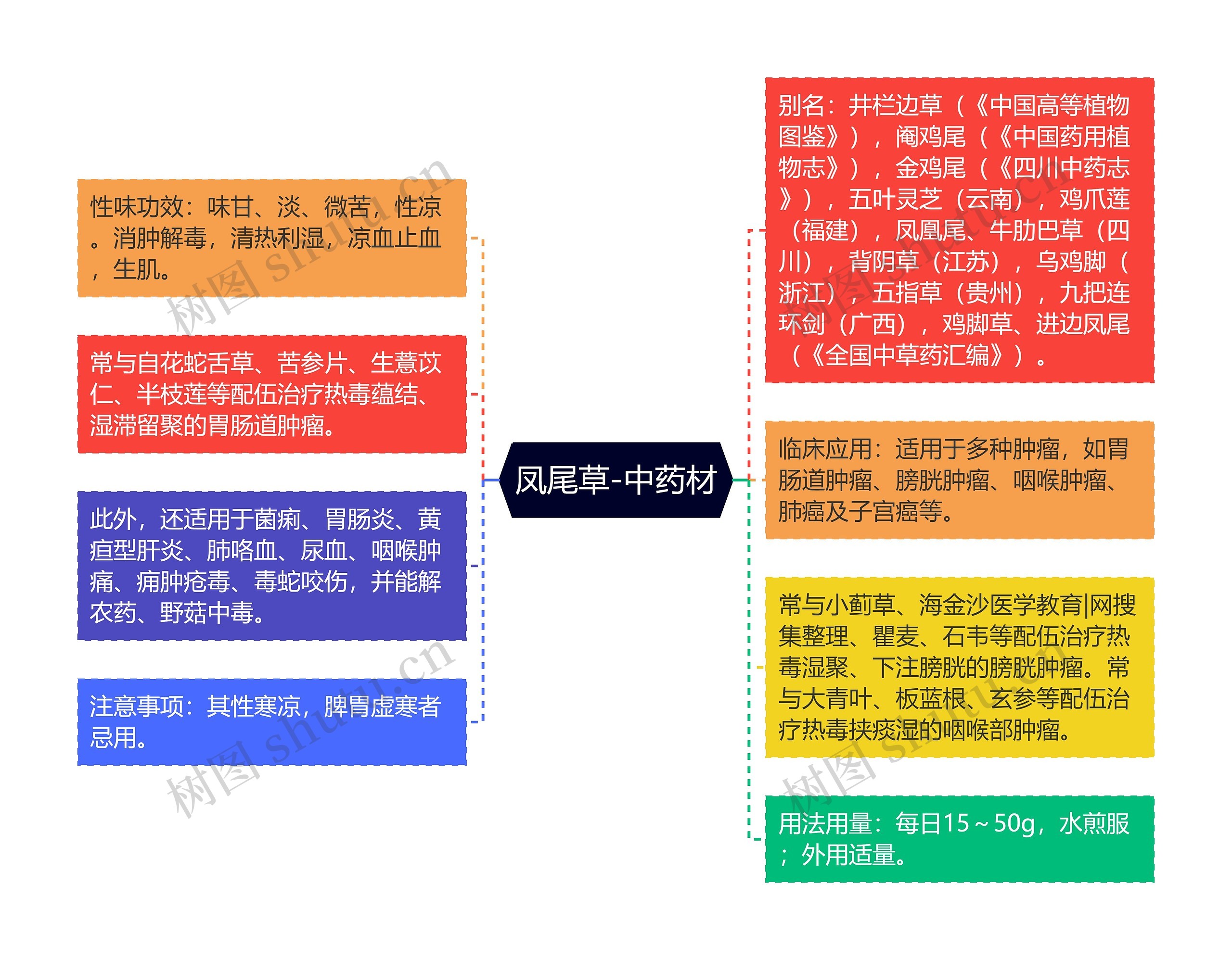 凤尾草-中药材 凤尾草-中药材
