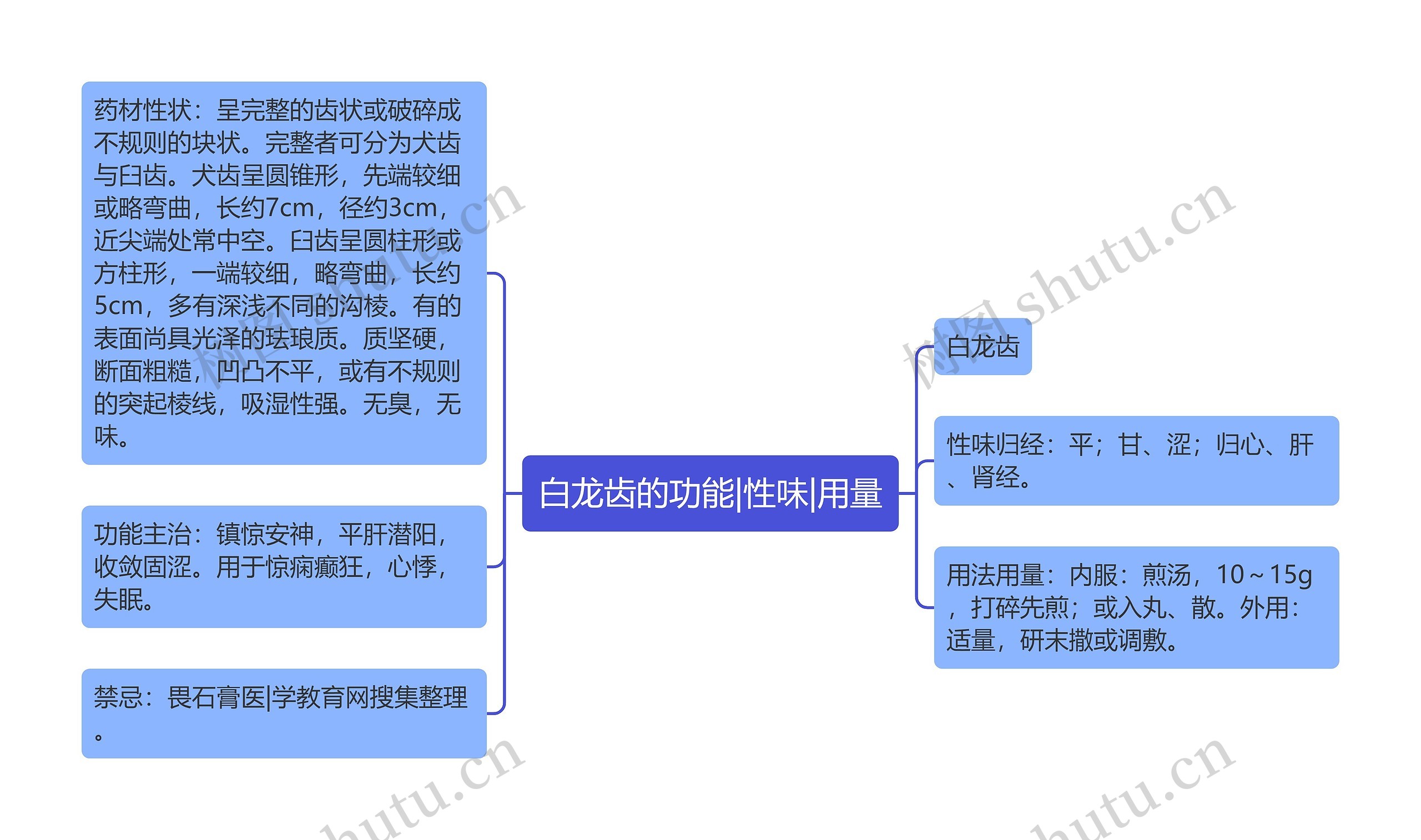 白龙齿的功能|性味|用量 白龙齿的功能|性味|用量