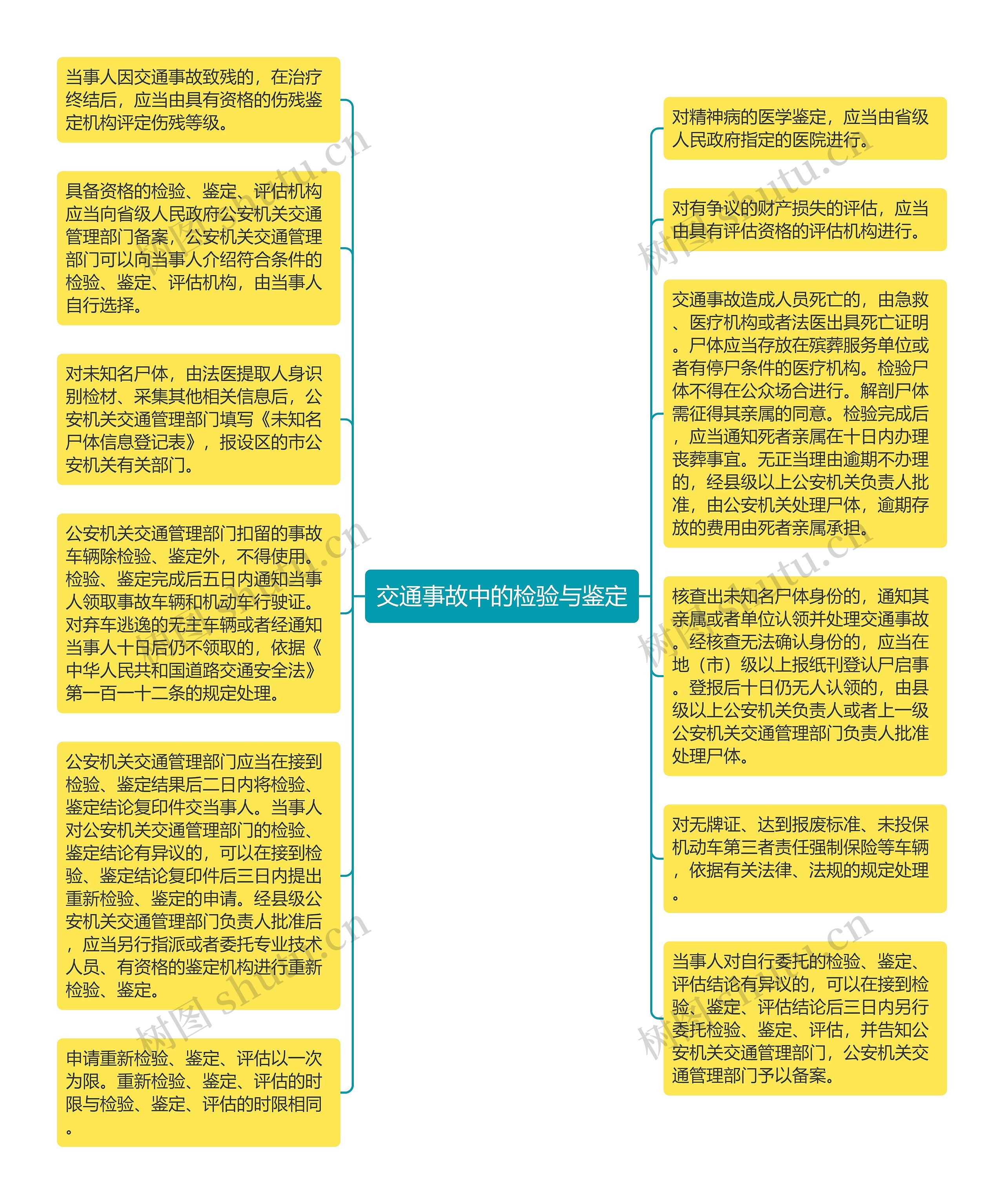 交通事故中的检验与鉴定思维导图