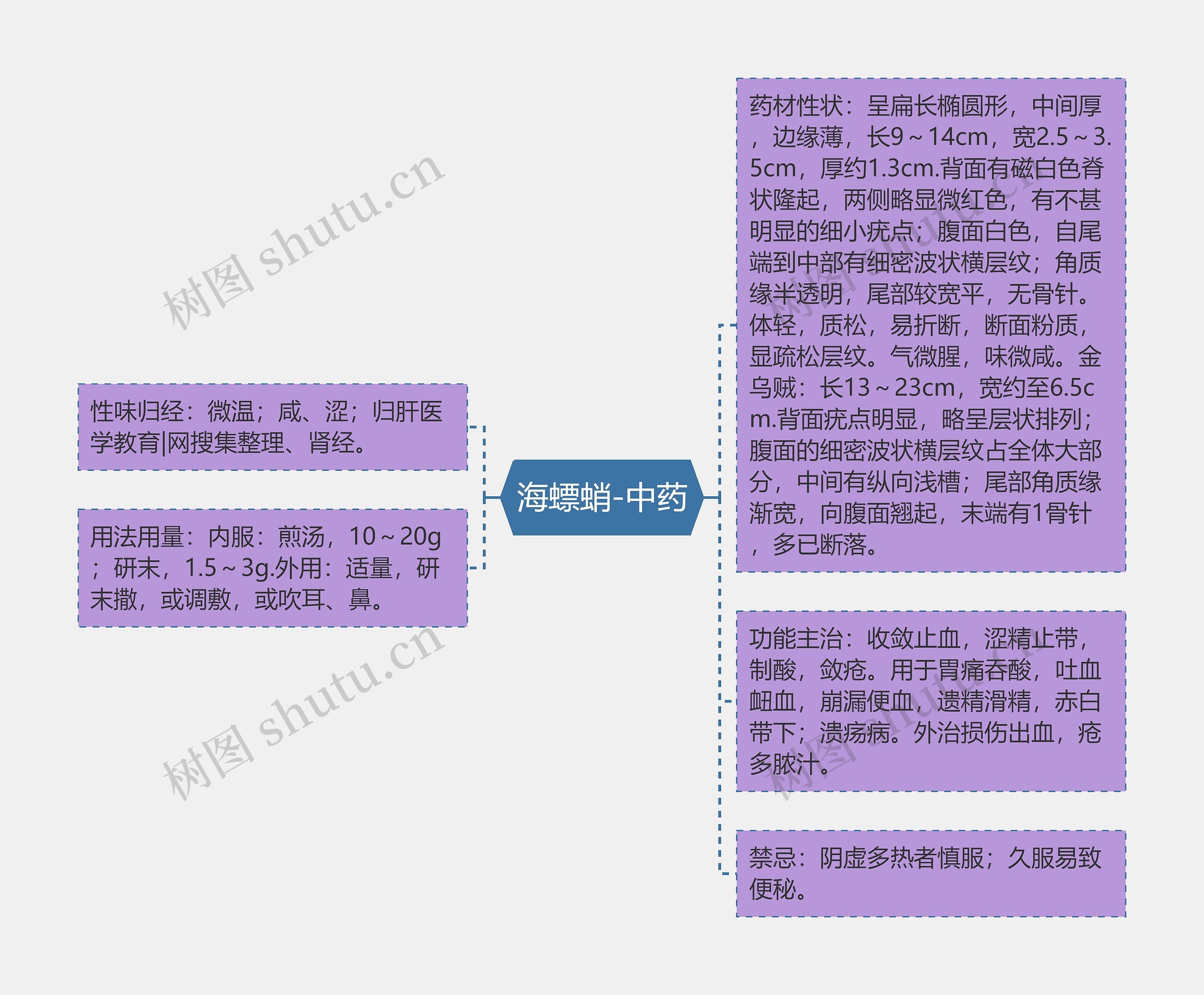 海螵蛸-中药思维导图