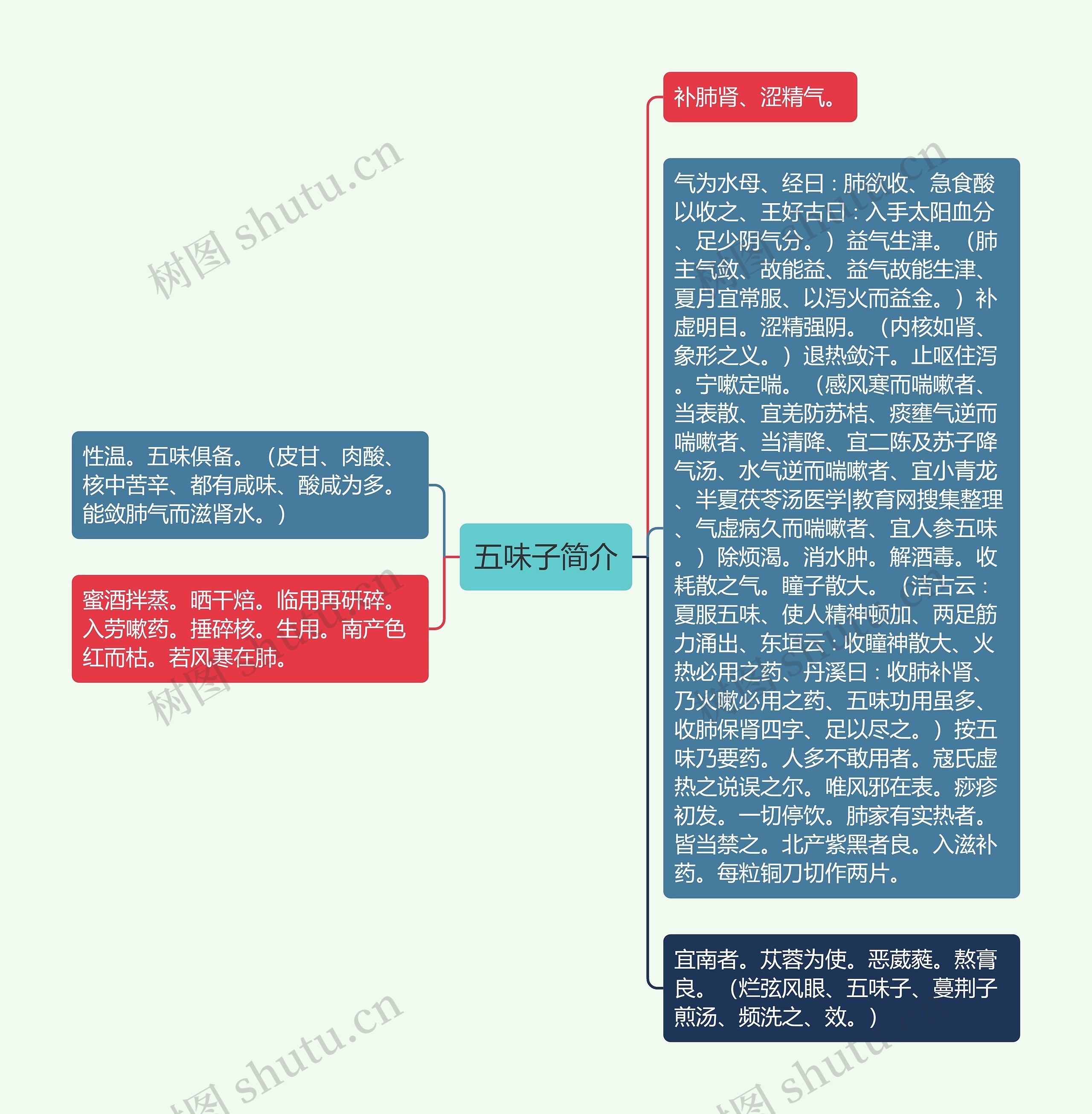 五味子简介