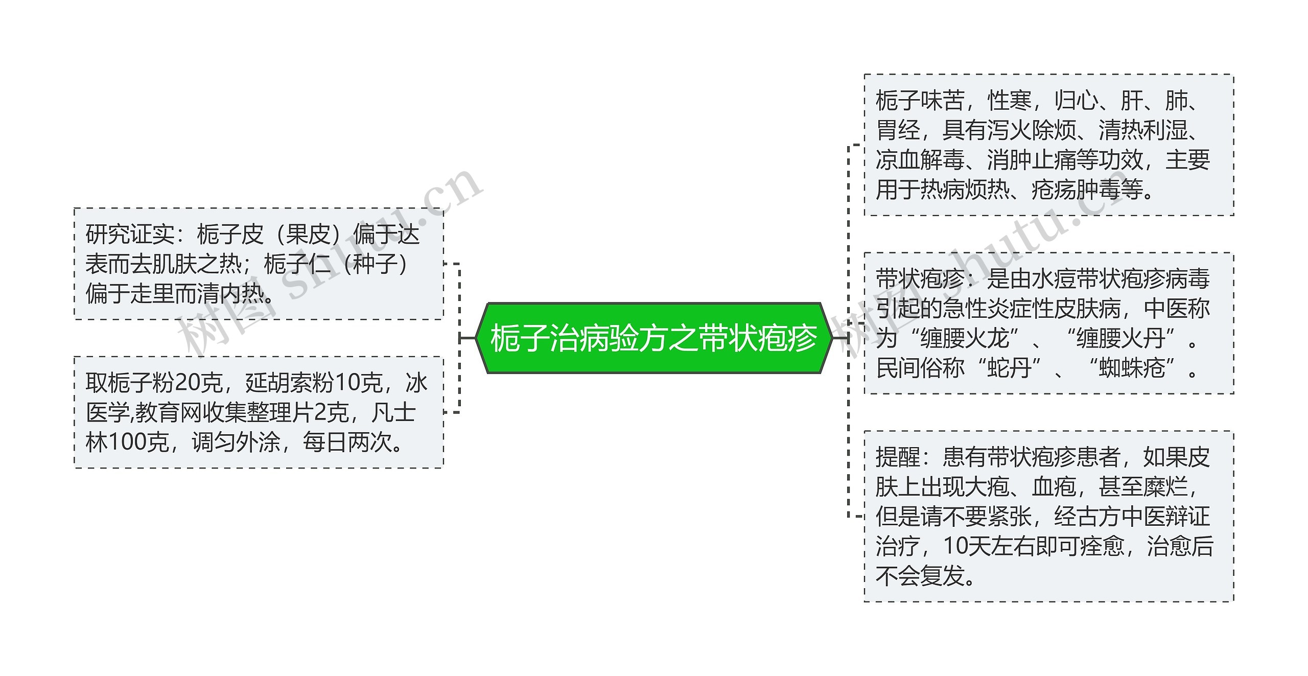 栀子治病验方之带状疱疹思维导图