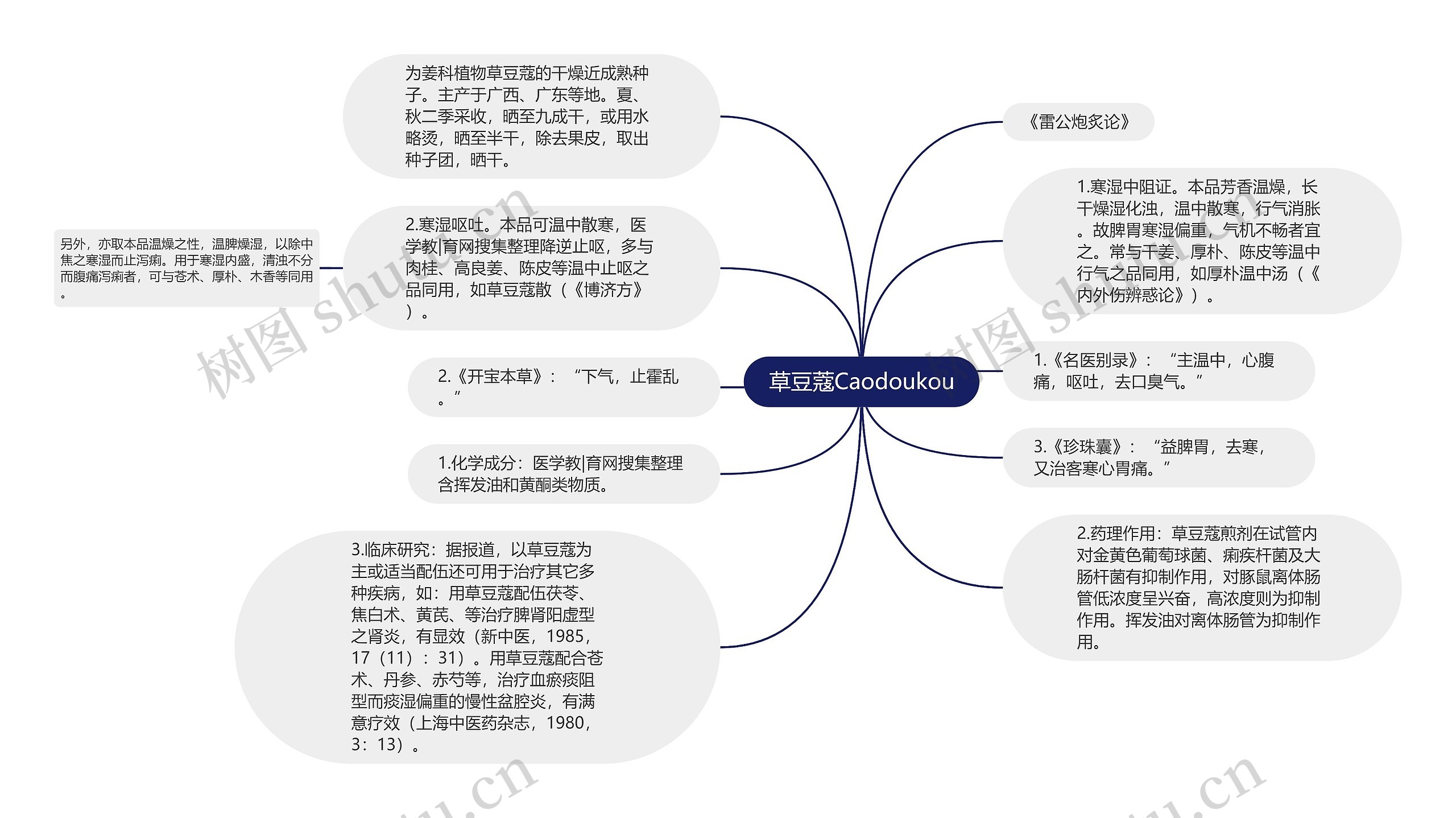 草豆蔻Caodoukou思维导图