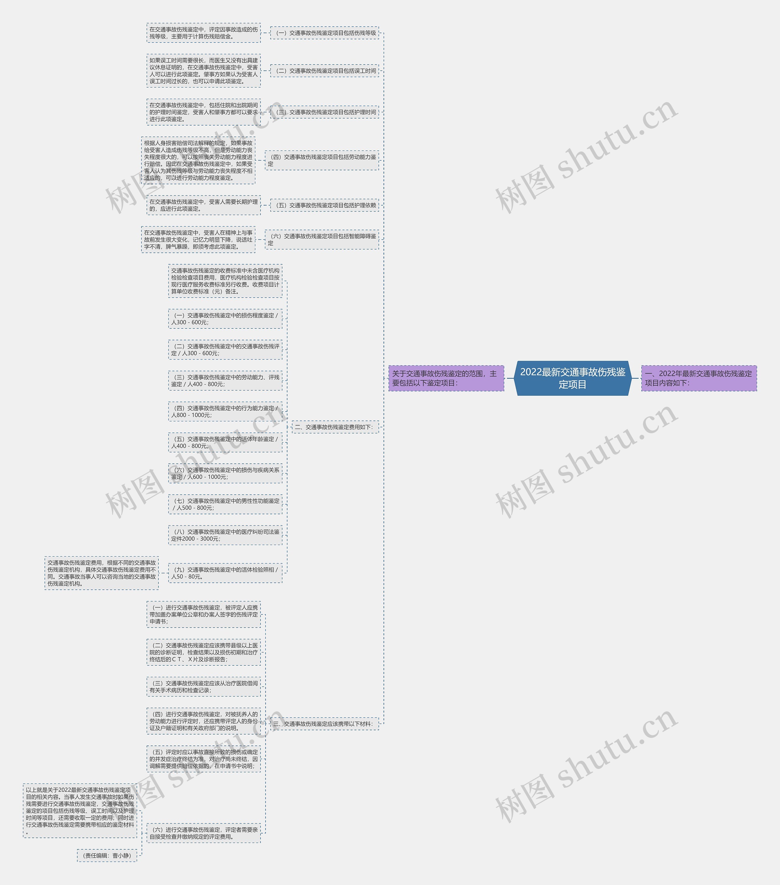2022最新交通事故伤残鉴定项目思维导图