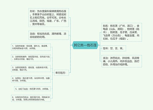 其它类—抱石莲