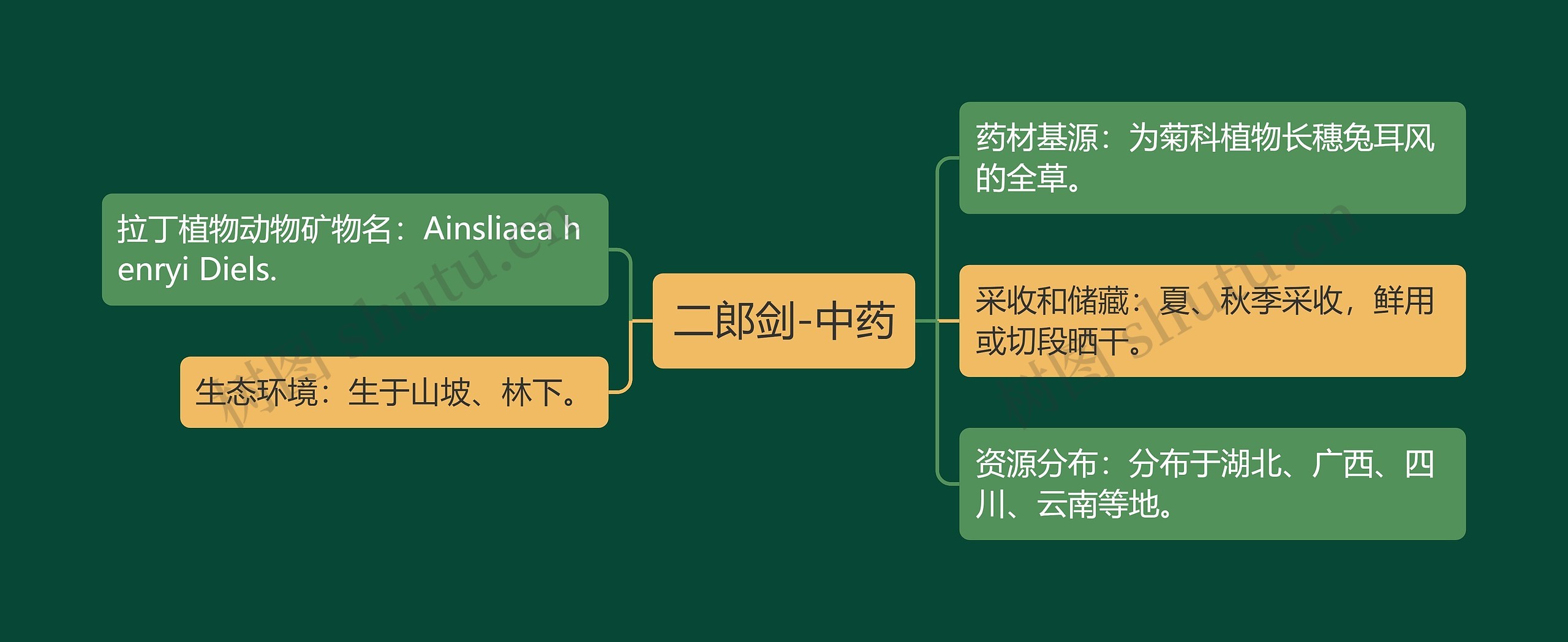 二郎剑-中药思维导图