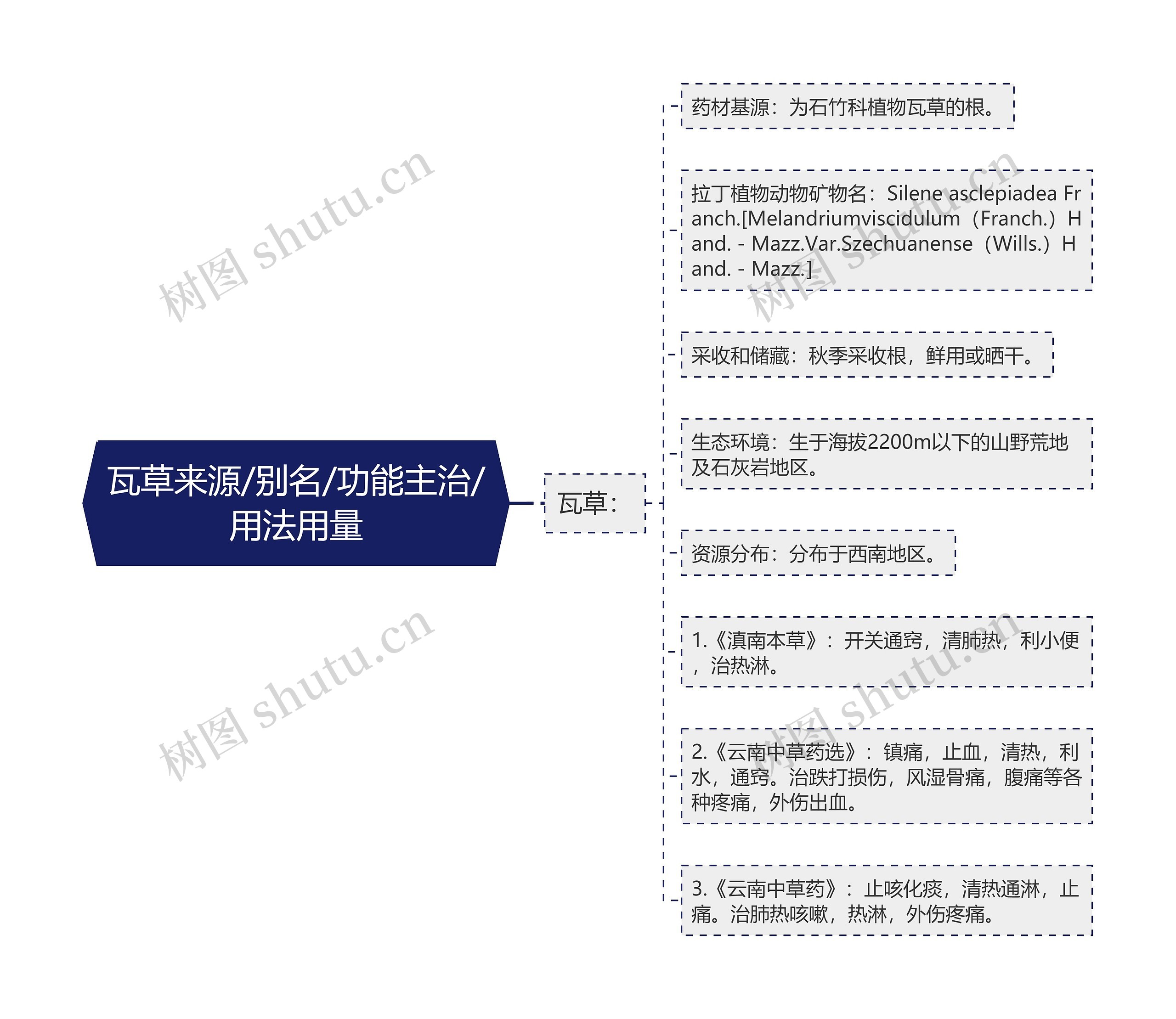 瓦草来源/别名/功能主治/用法用量思维导图