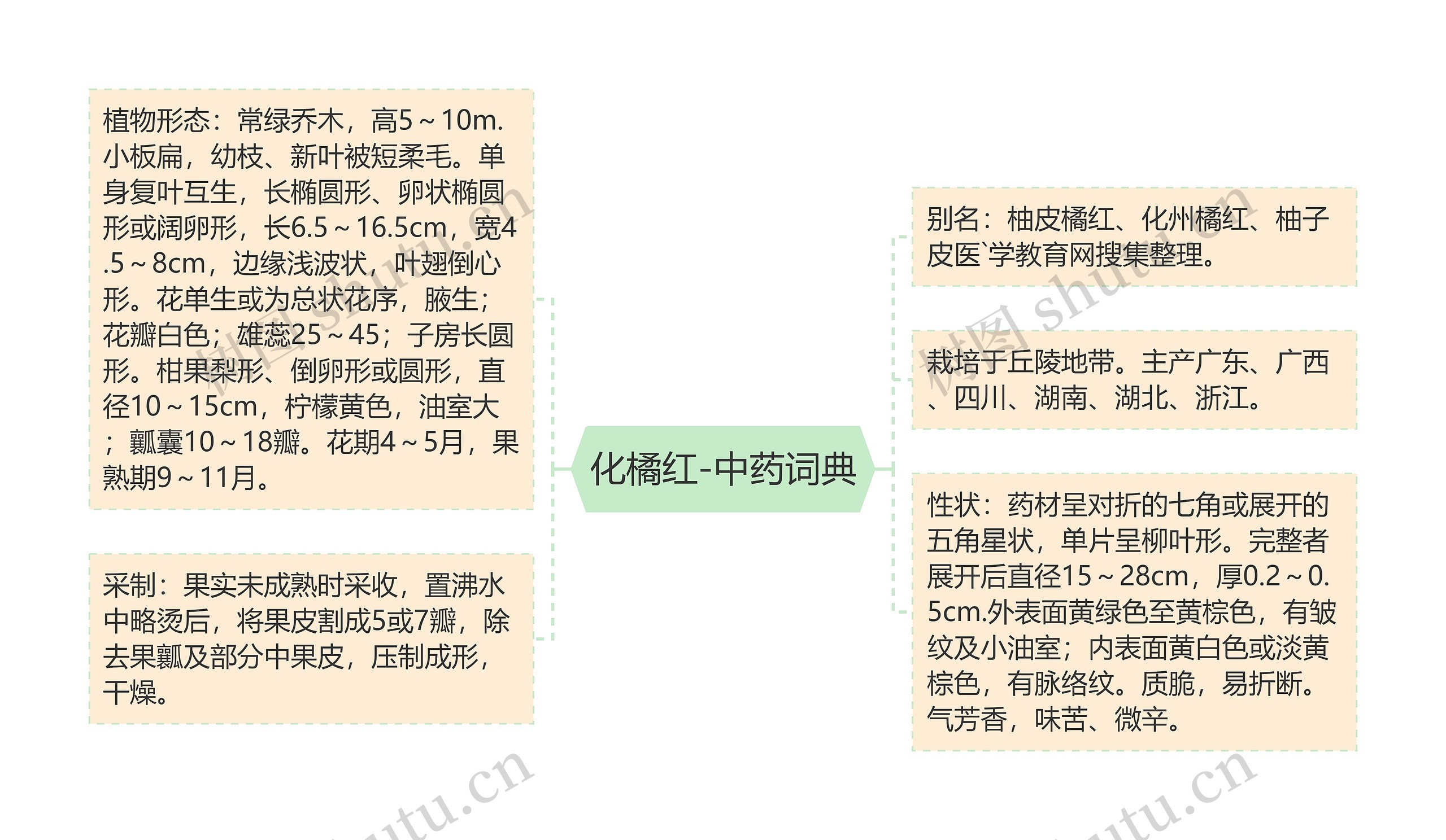 化橘红-中药词典思维导图