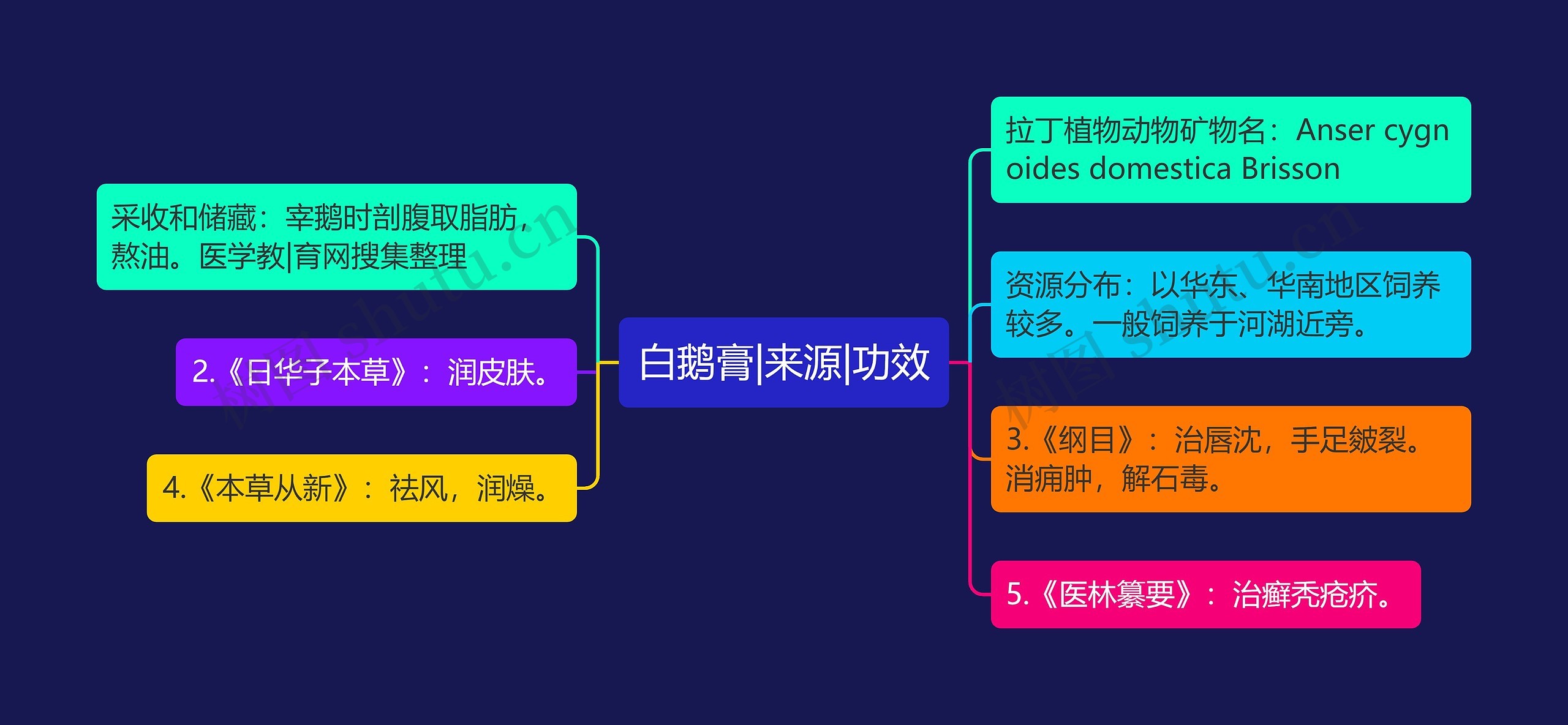 白鹅膏|来源|功效