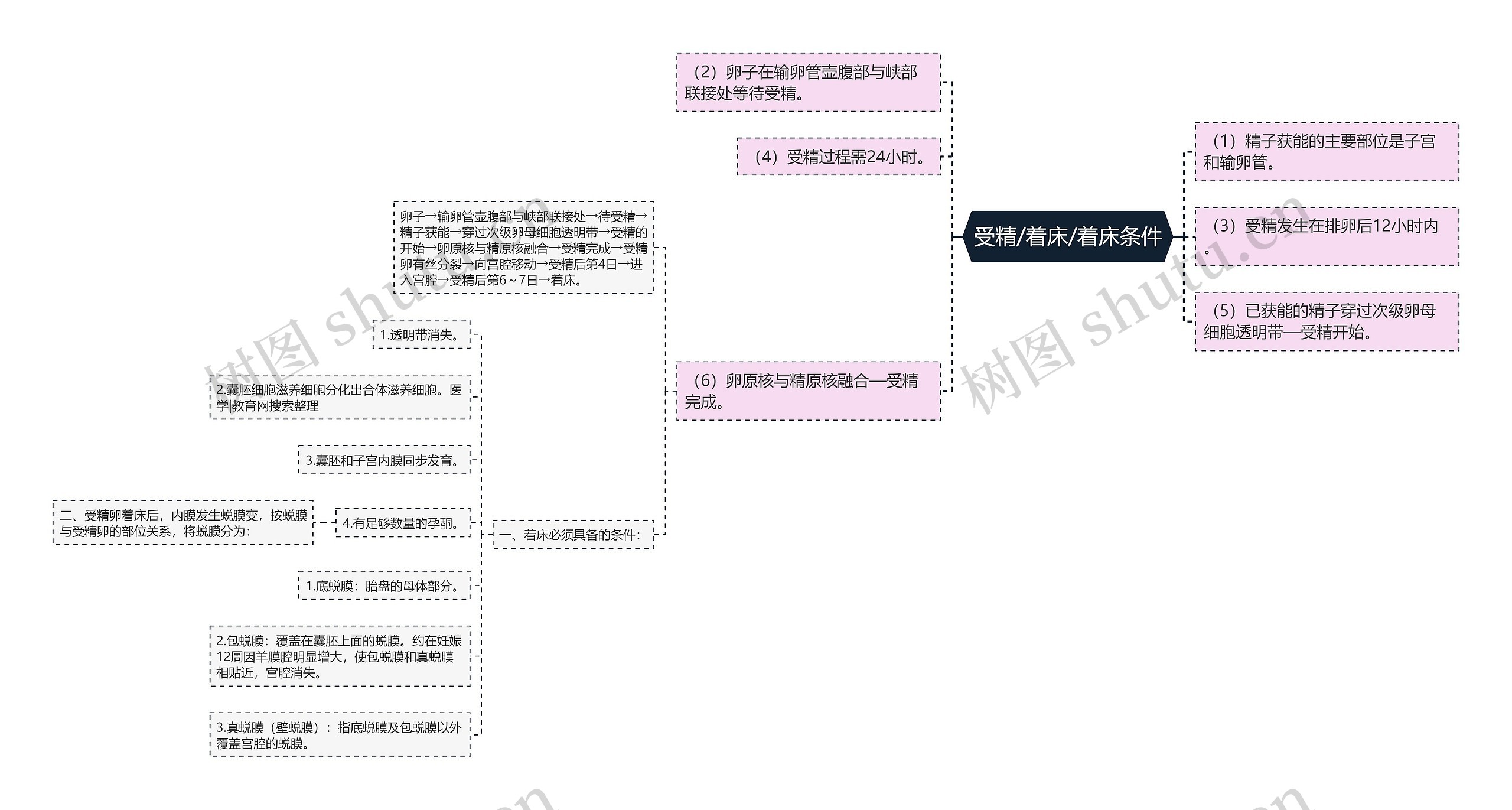 受精/着床/着床条件思维导图