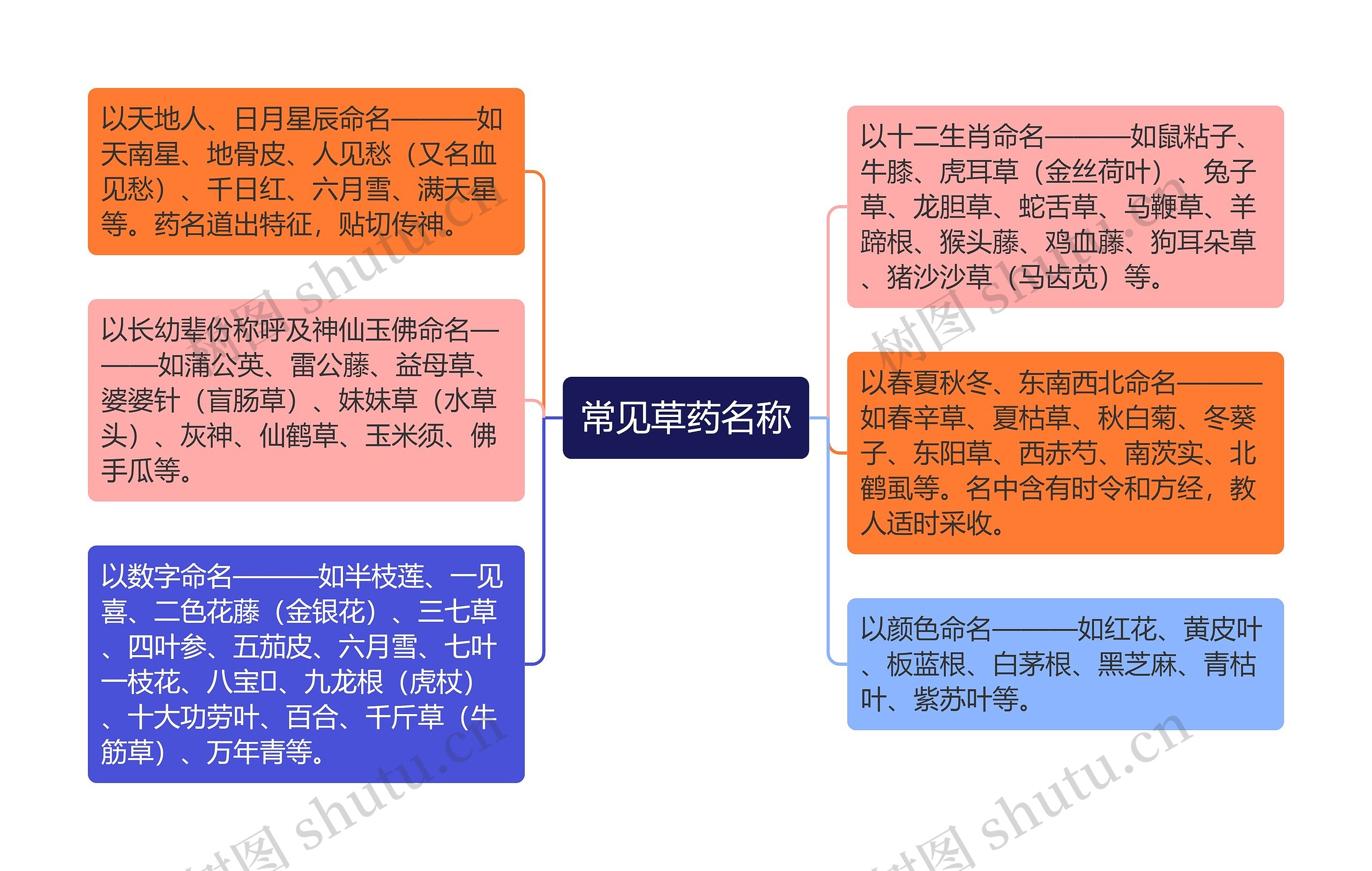 常见草药名称思维导图