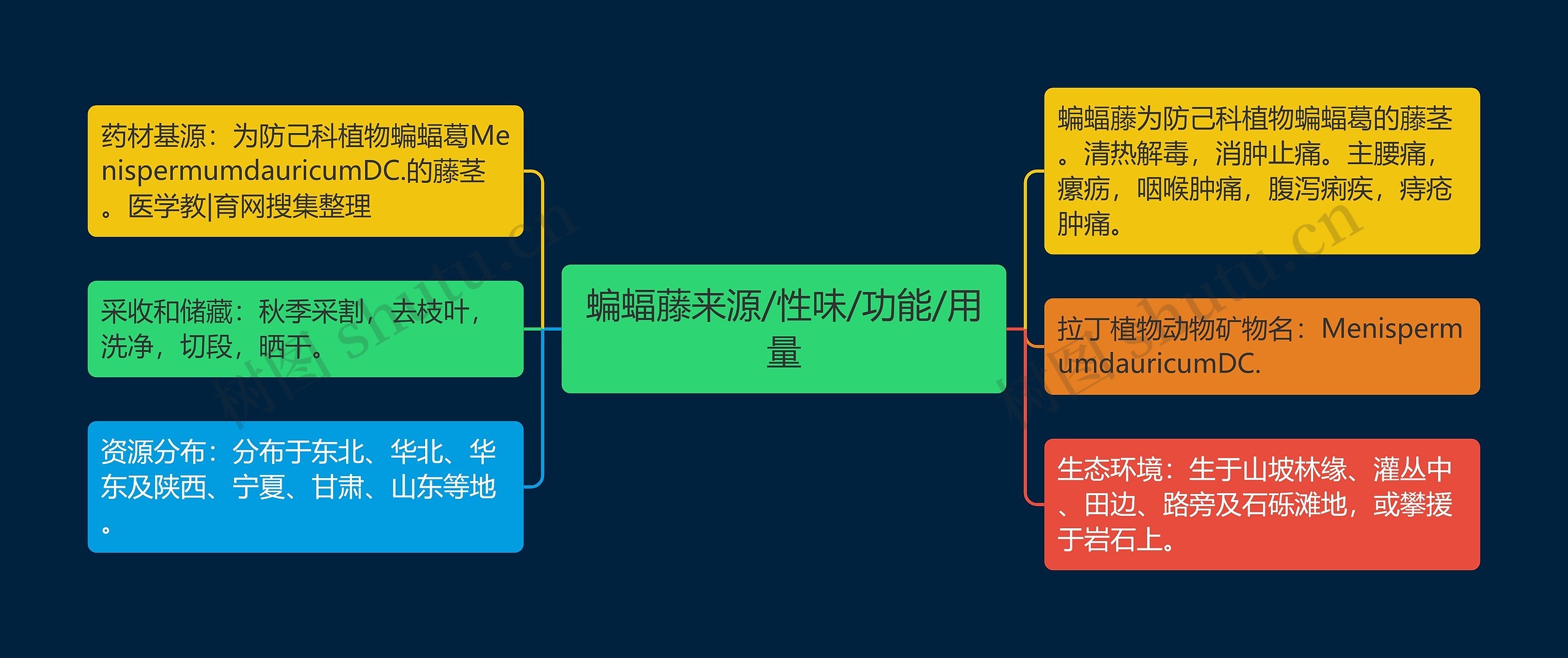 蝙蝠藤来源/性味/功能/用量思维导图