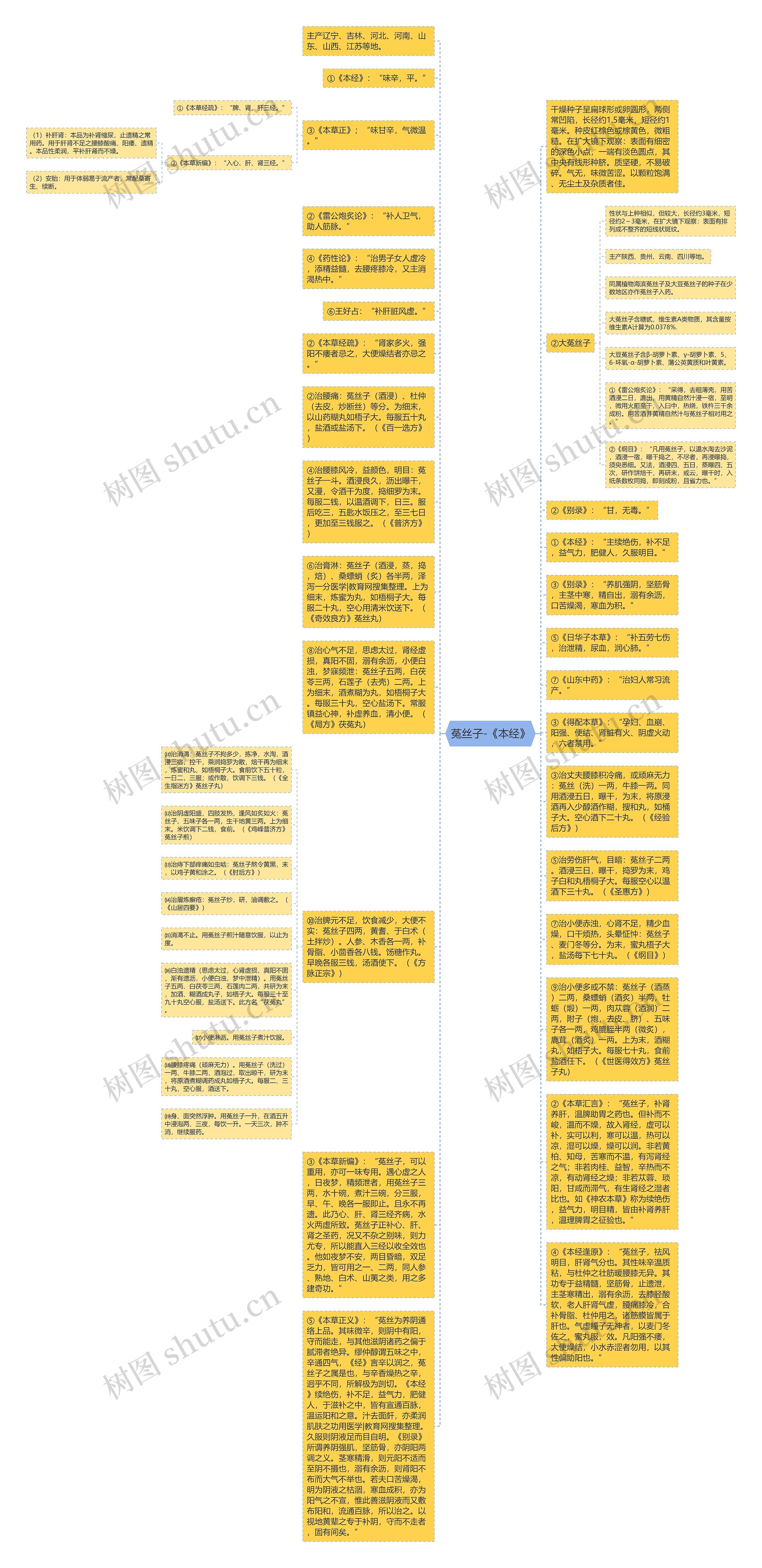 菟丝子-《本经》思维导图