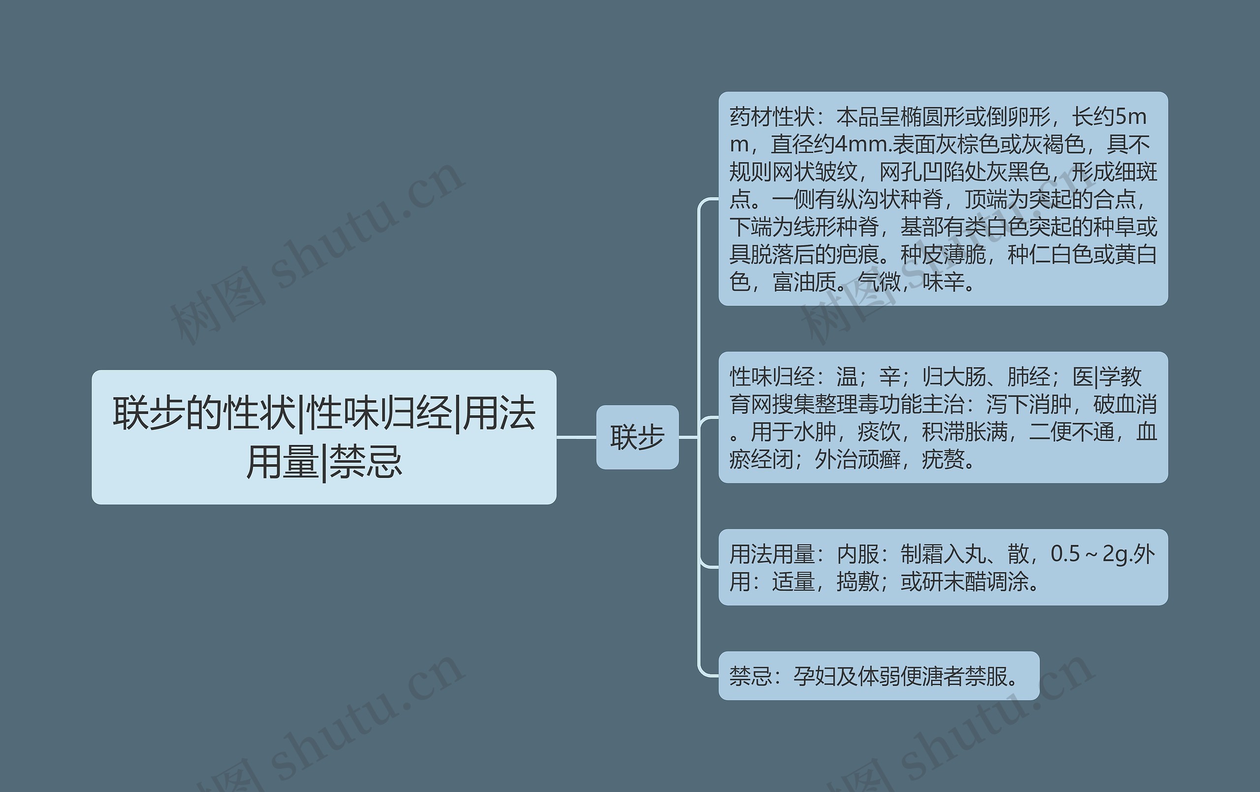 联步的性状|性味归经|用法用量|禁忌 联步的性状|性味归经|用法用量|禁忌