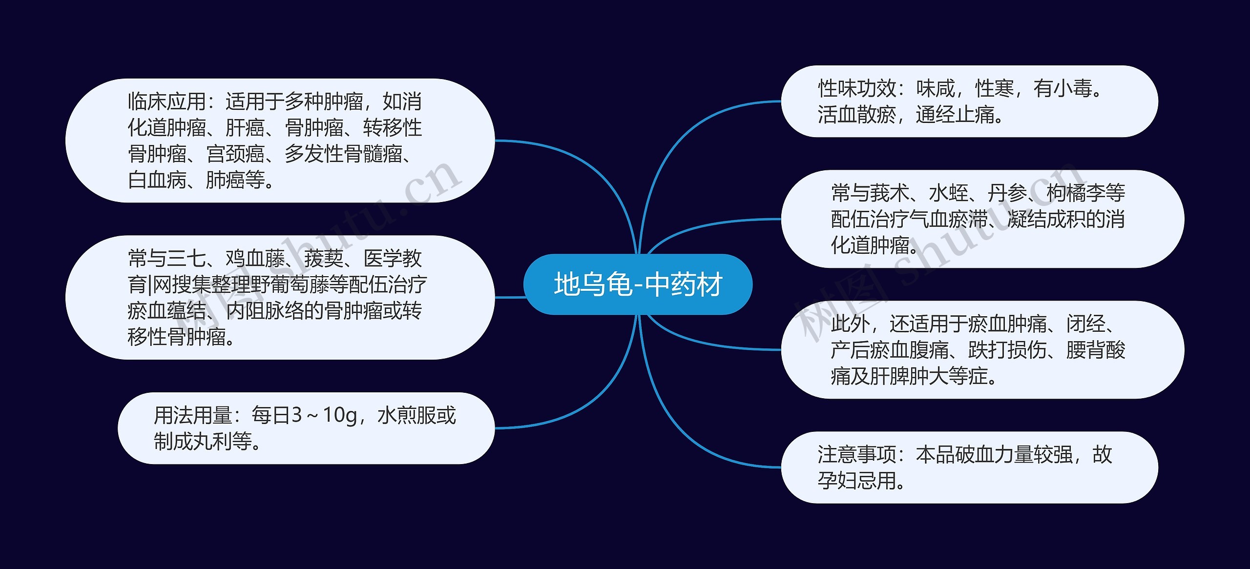 地乌龟-中药材思维导图