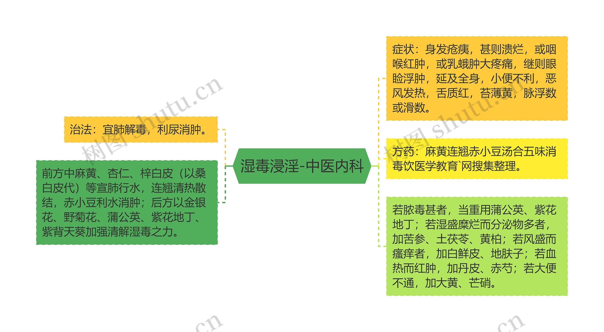 湿毒浸淫-中医内科思维导图