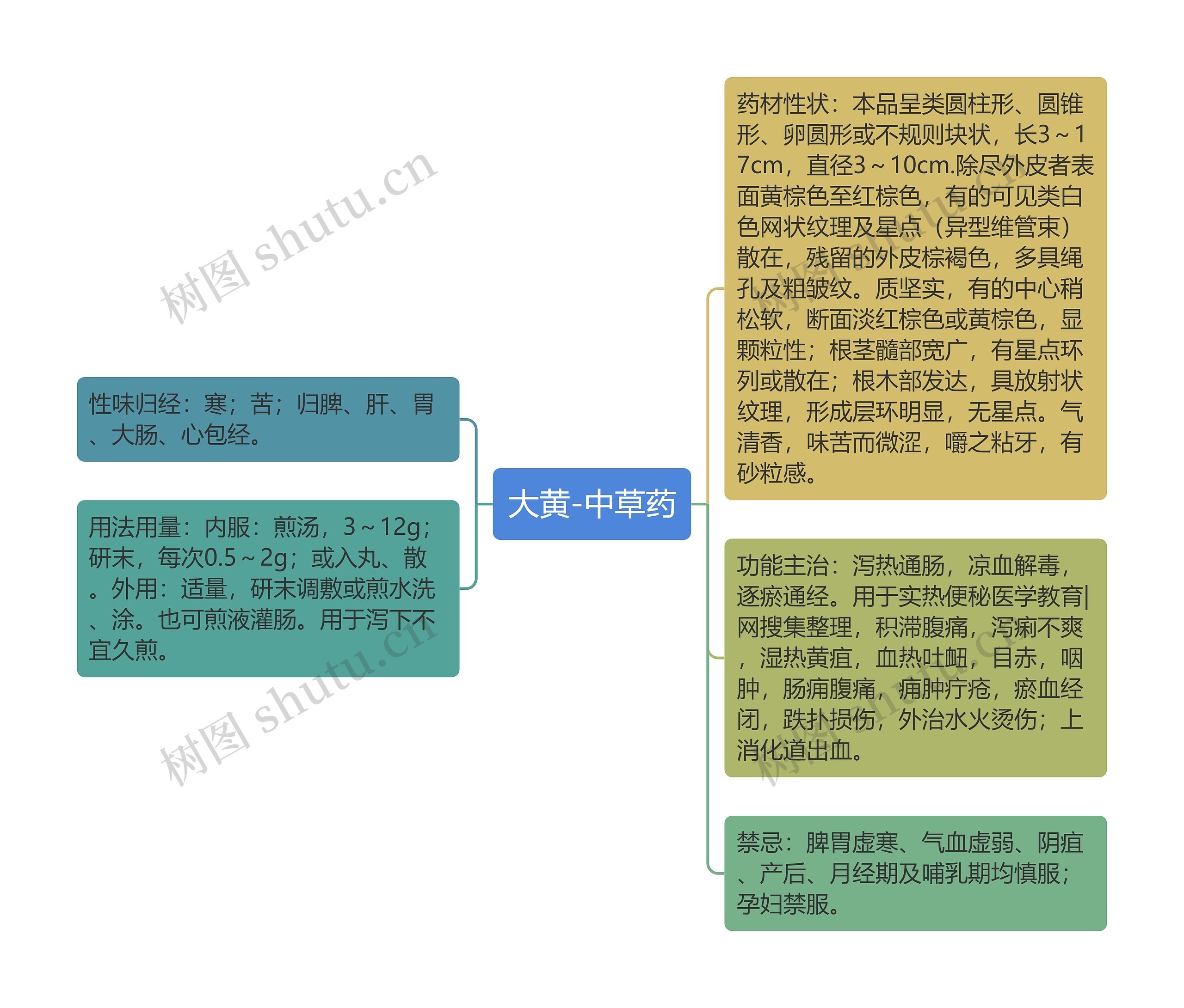 大黄-中草药思维导图