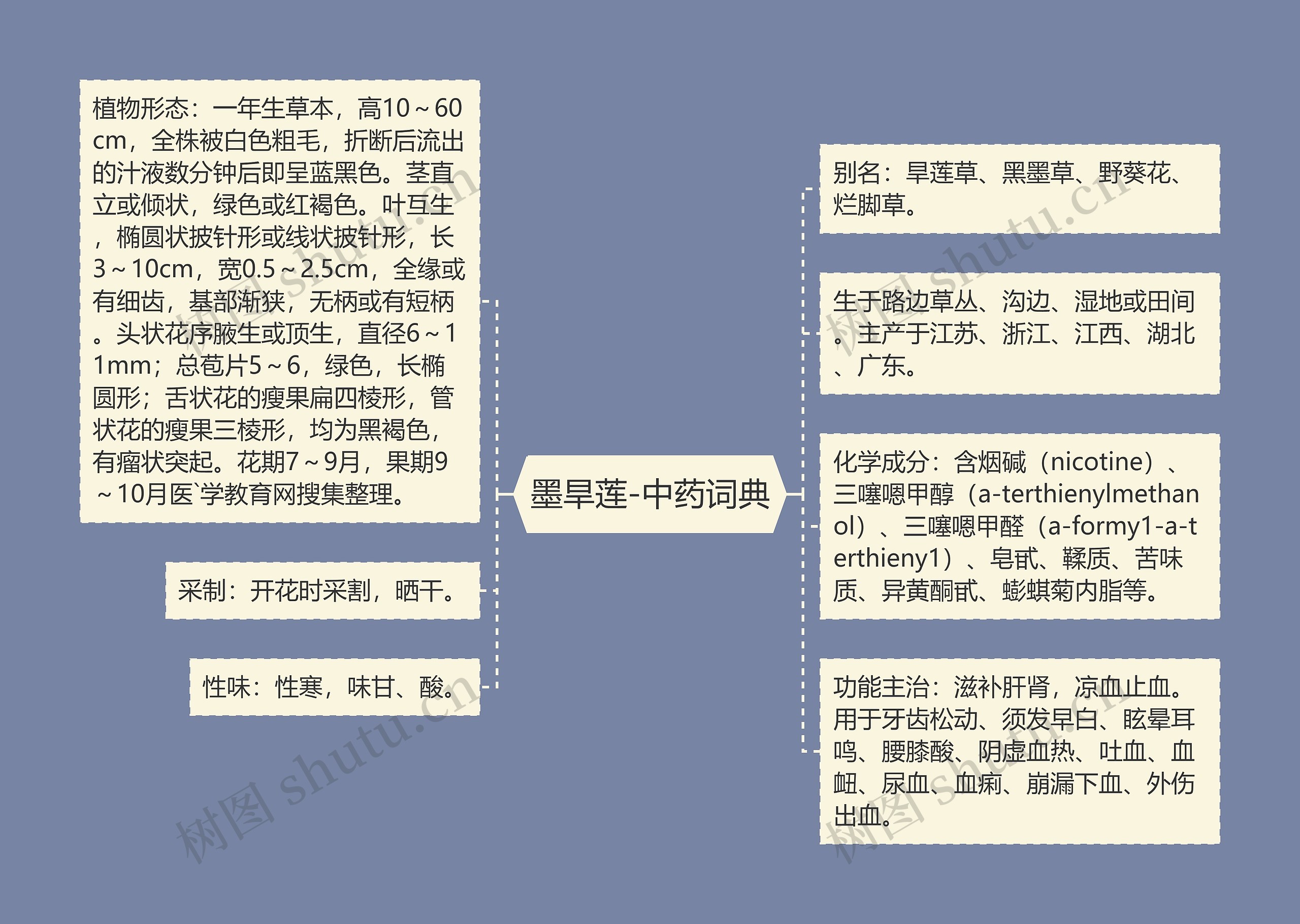 墨旱莲-中药词典 墨旱莲-中药词典