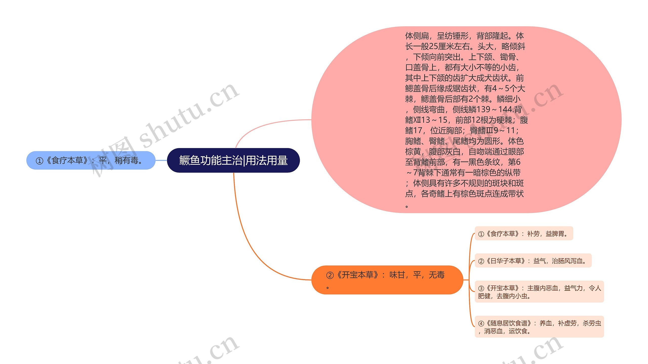 鳜鱼功能主治|用法用量思维导图