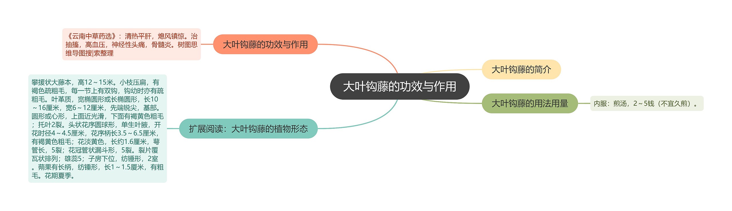 大叶钩藤的功效与作用思维导图