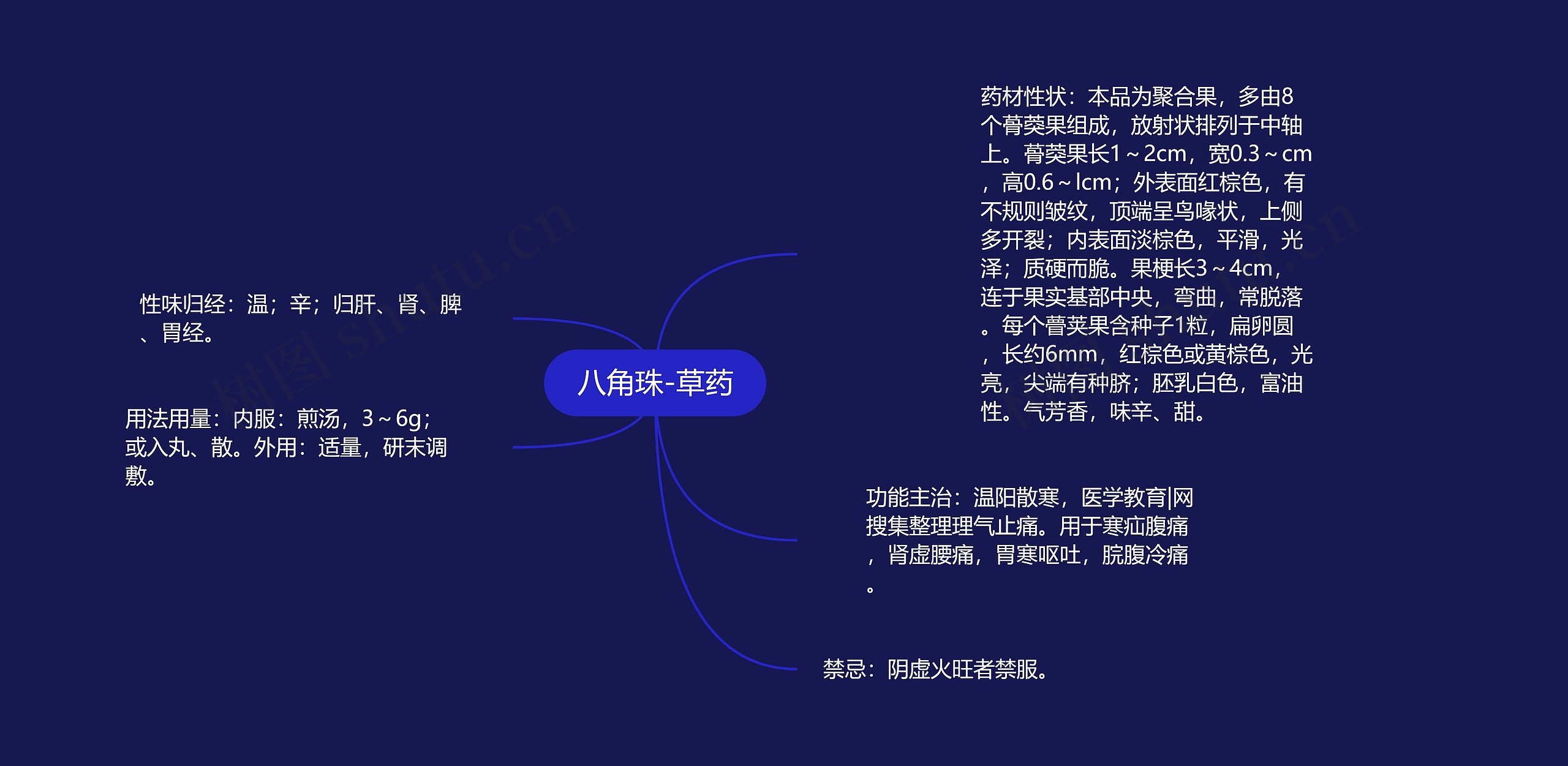 八角珠-草药思维导图