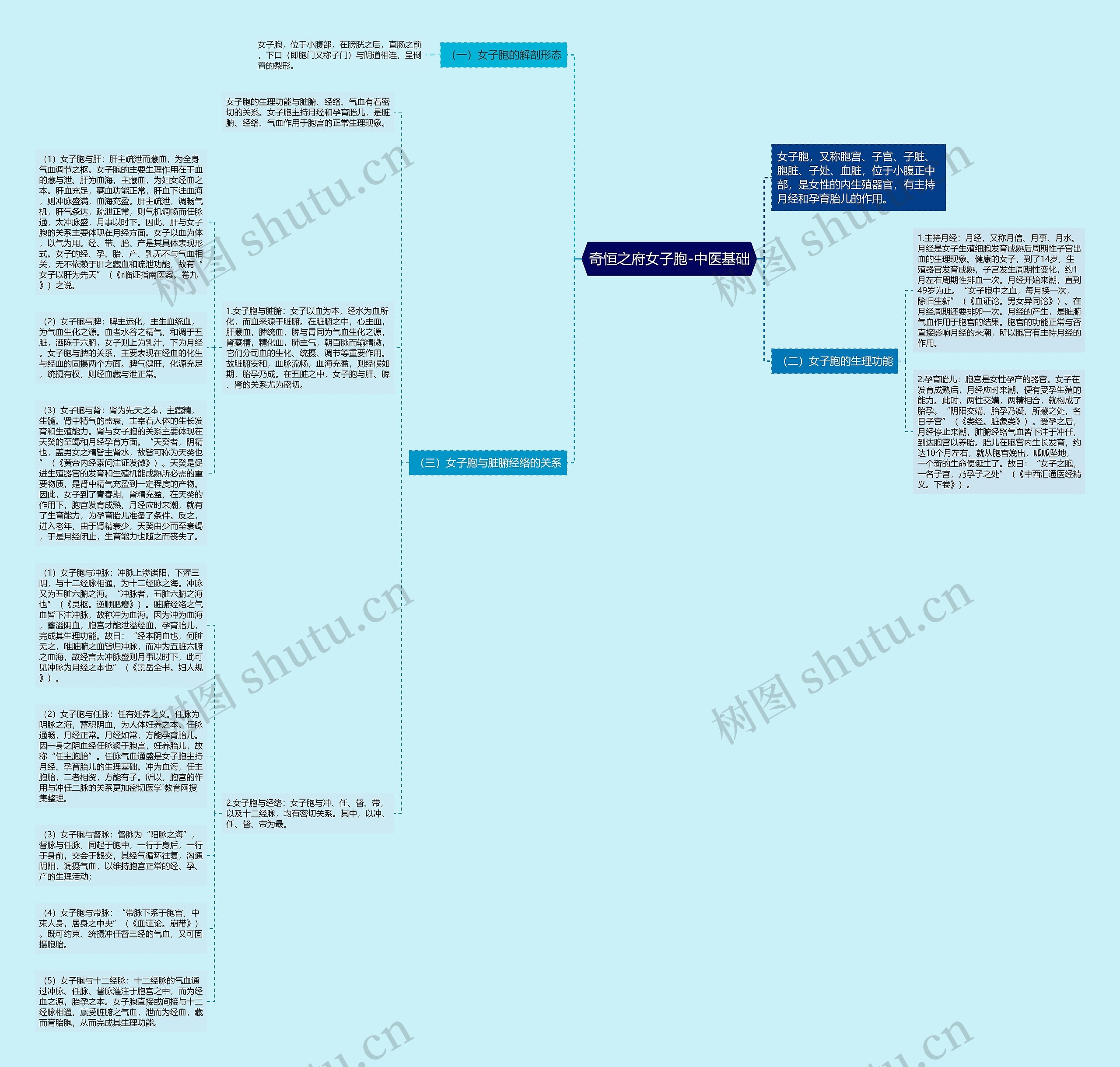 奇恒之府女子胞-中医基础思维导图