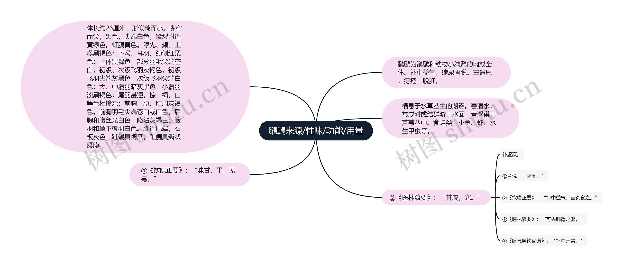 鸊鷉来源/性味/功能/用量思维导图