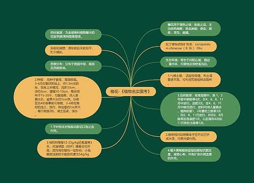 檵花-《植物名实图考》