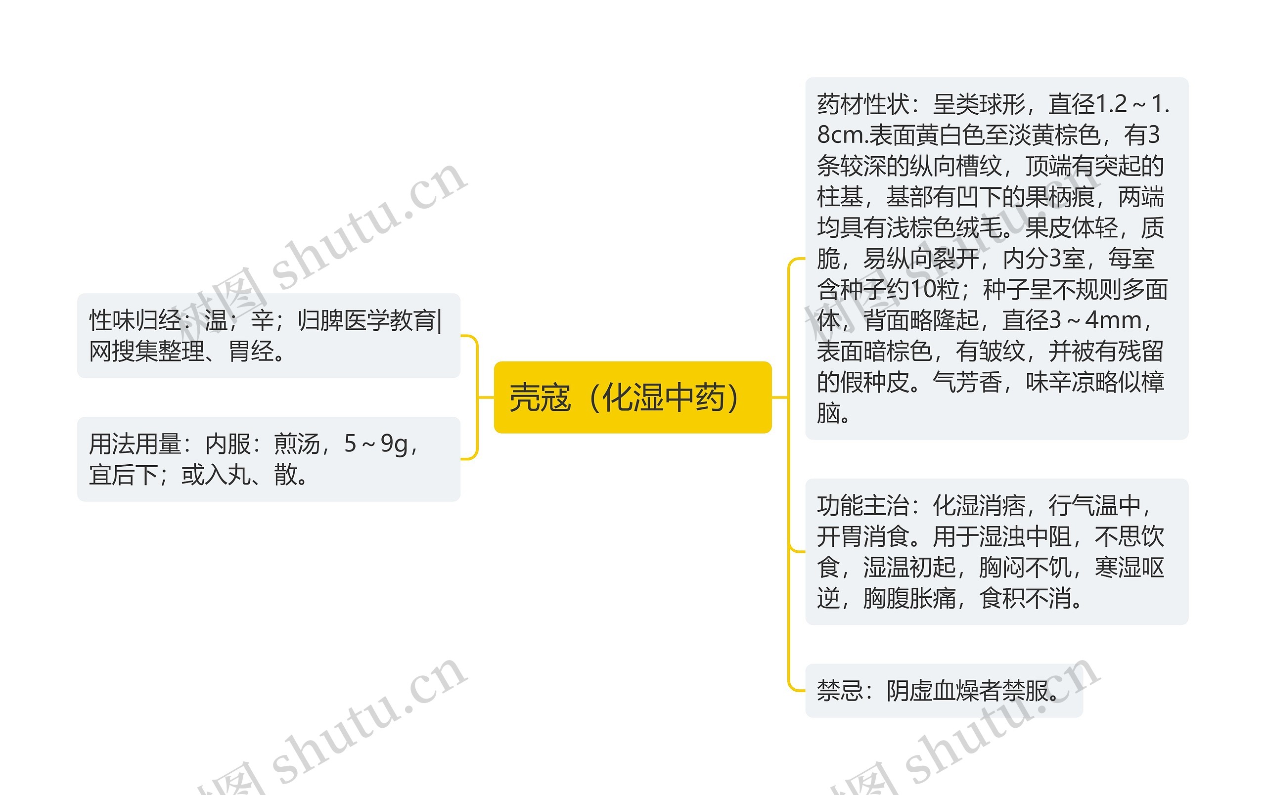 壳寇(化湿中药) 壳寇(化湿中药)