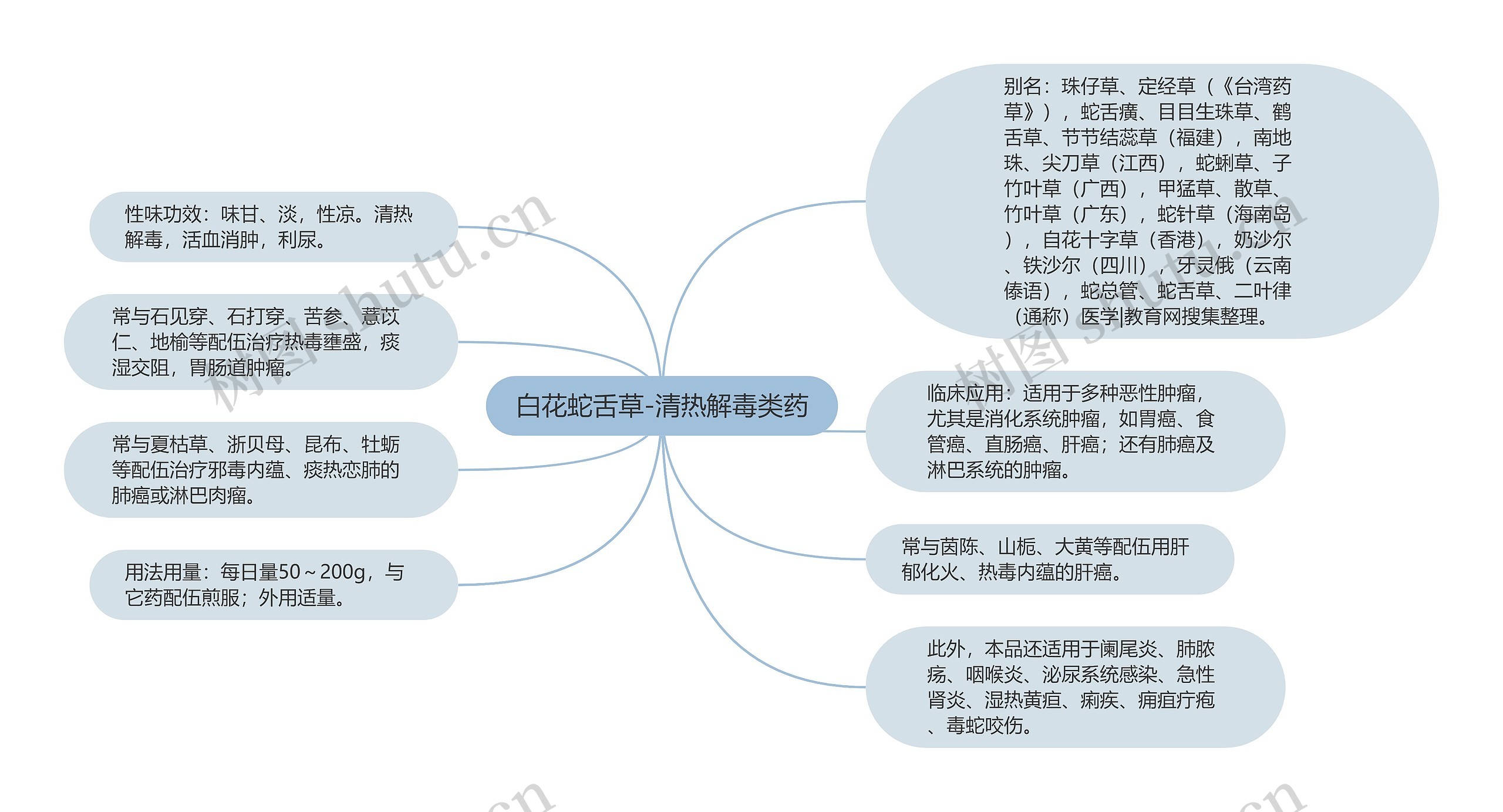 白花蛇舌草-清热解毒类药思维导图