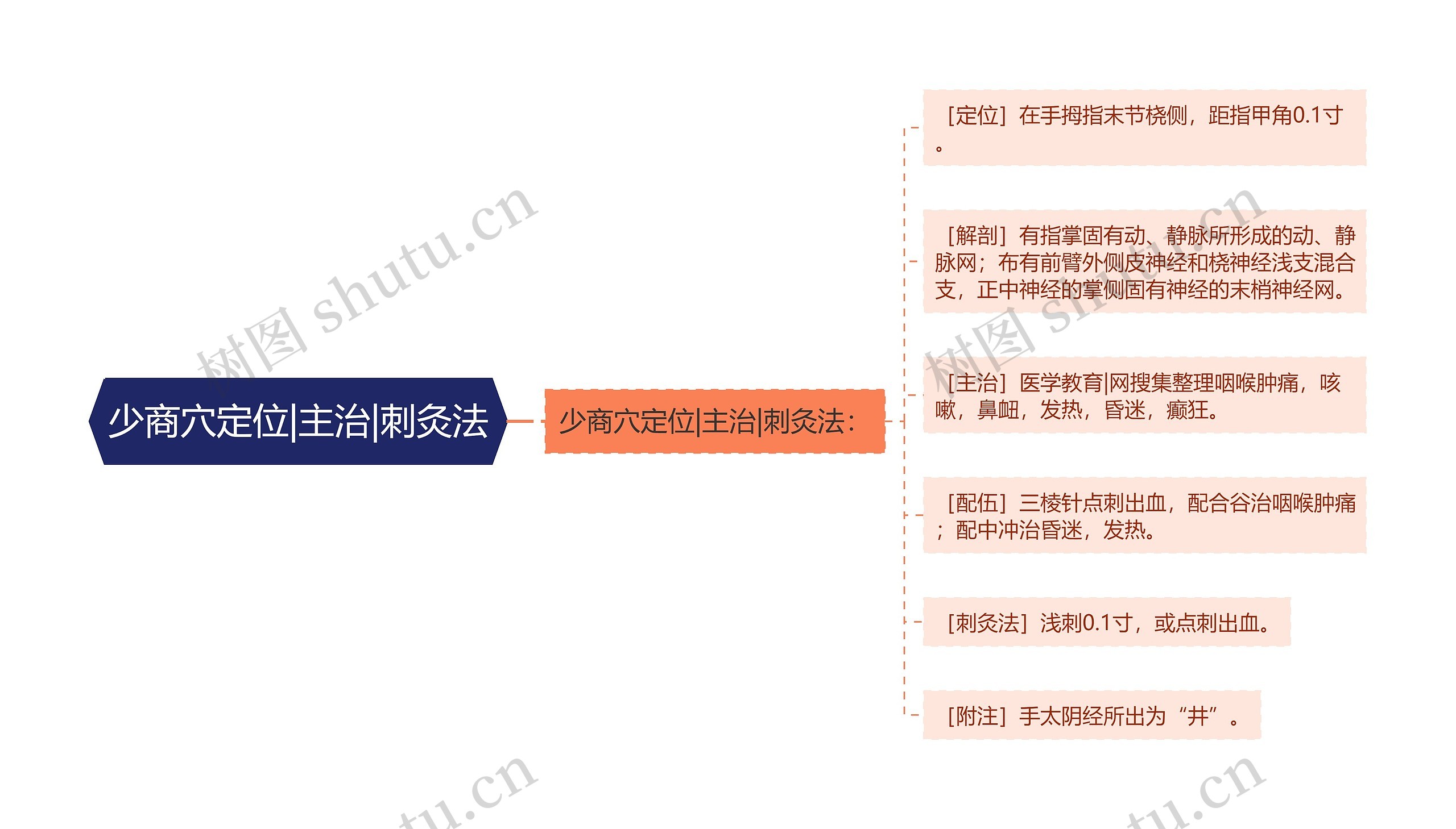 少商穴定位|主治|刺灸法思维导图