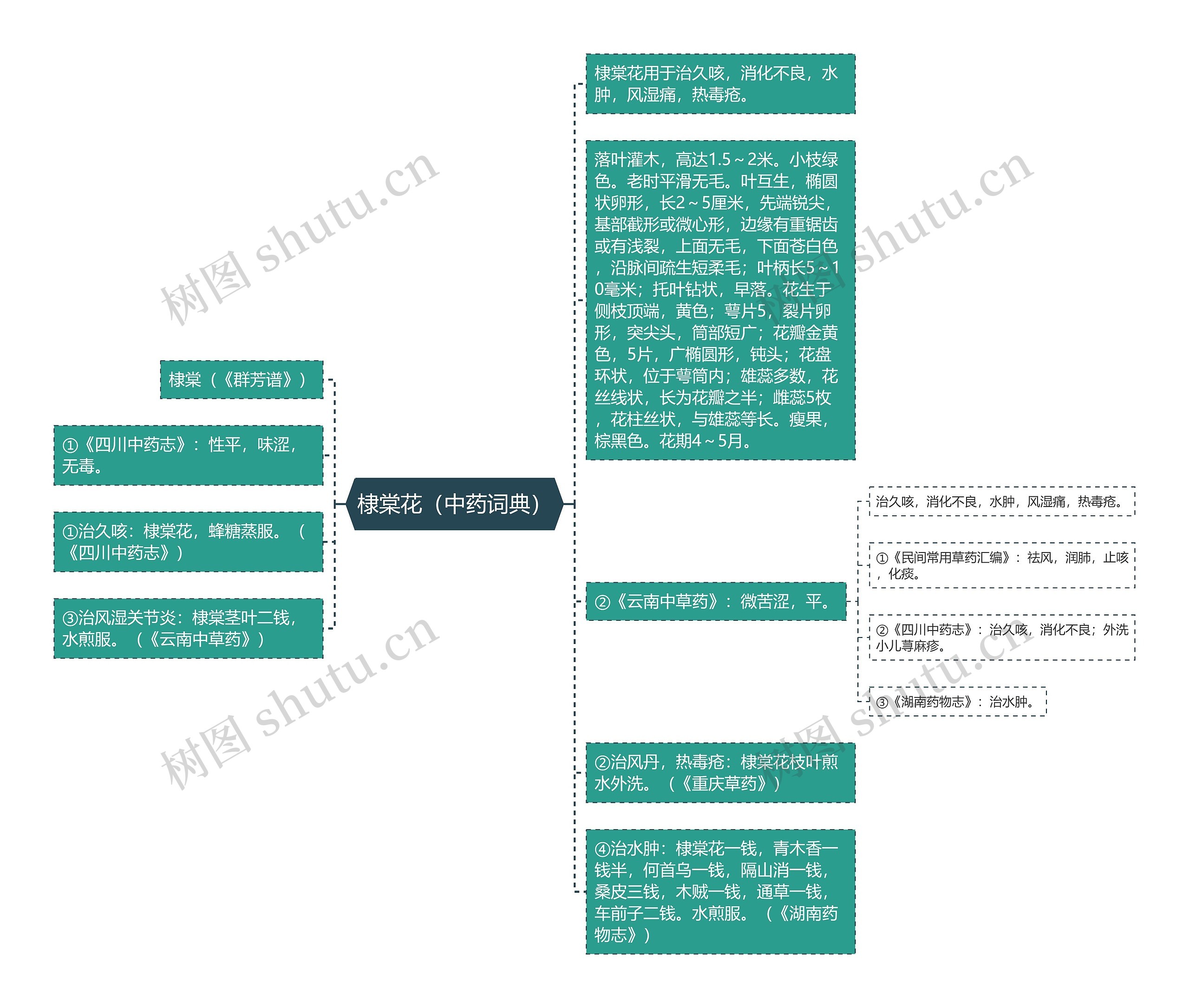 棣棠花（中药词典）思维导图