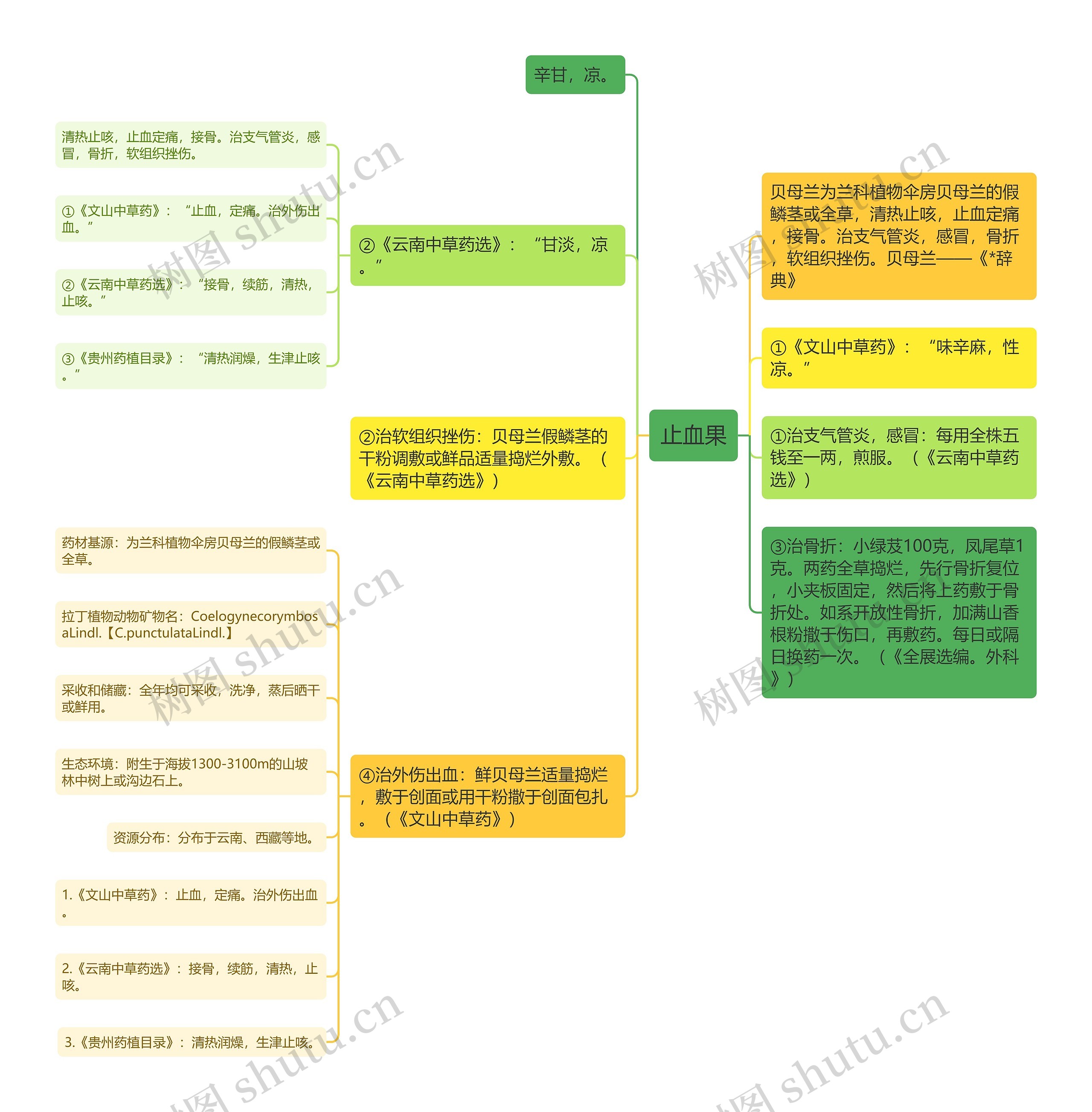止血果思维导图