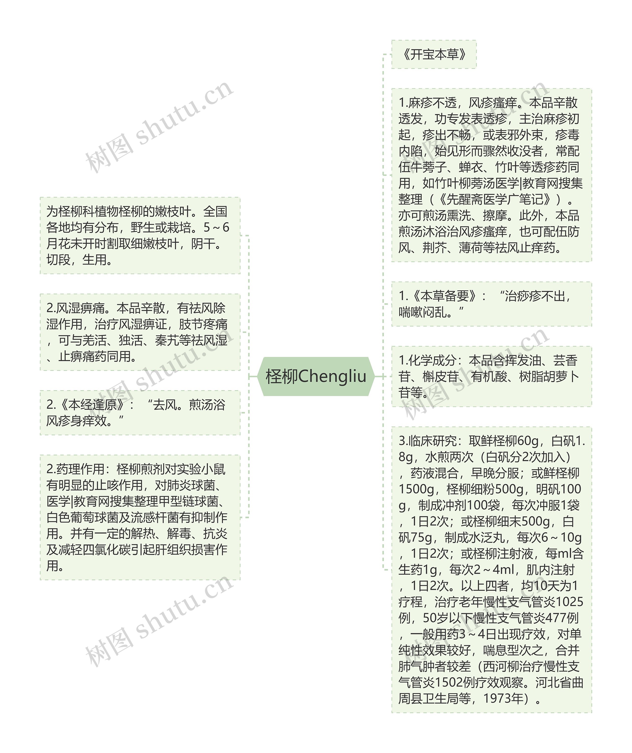 柽柳Chengliu思维导图