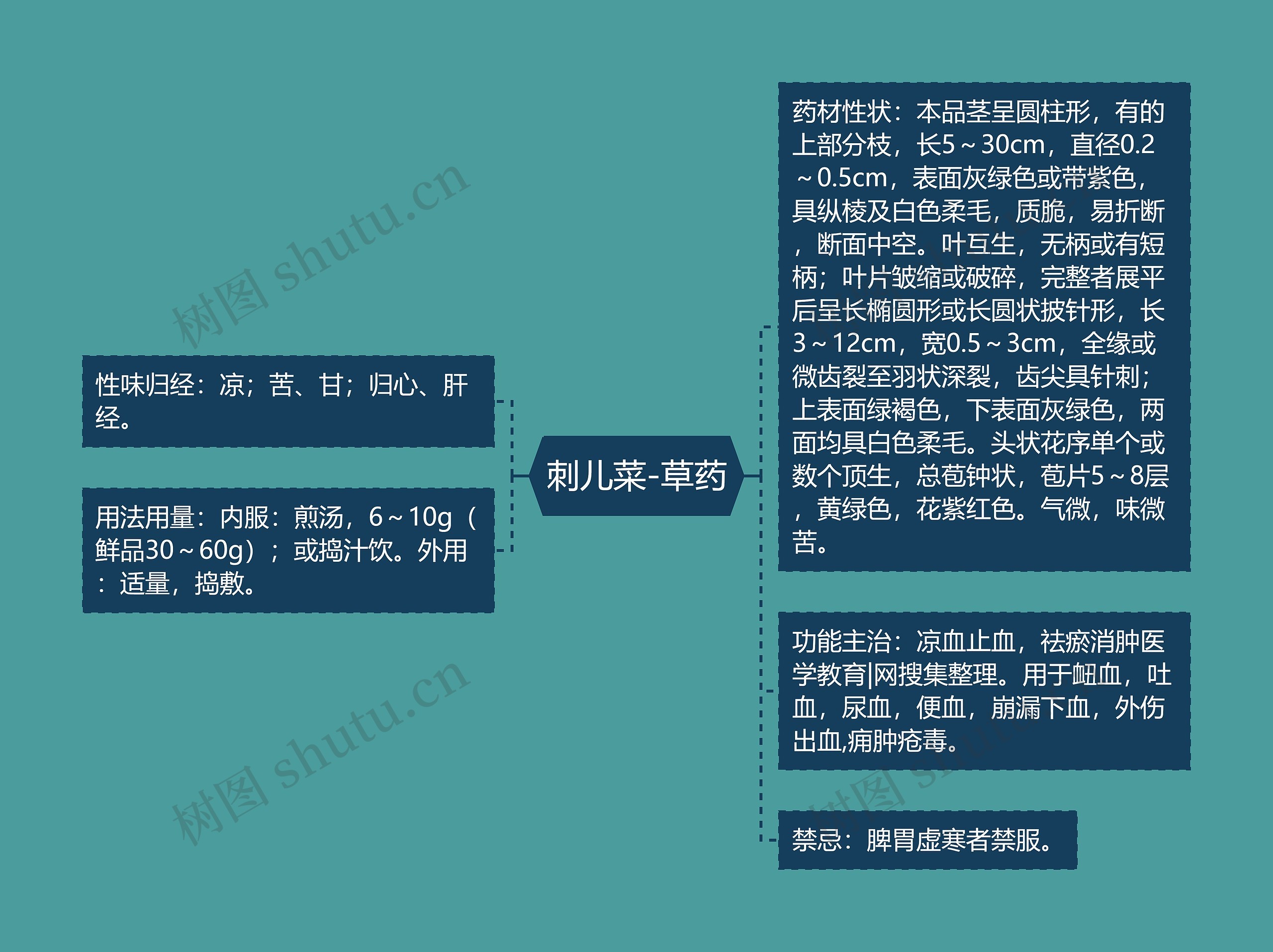 刺儿菜-草药思维导图