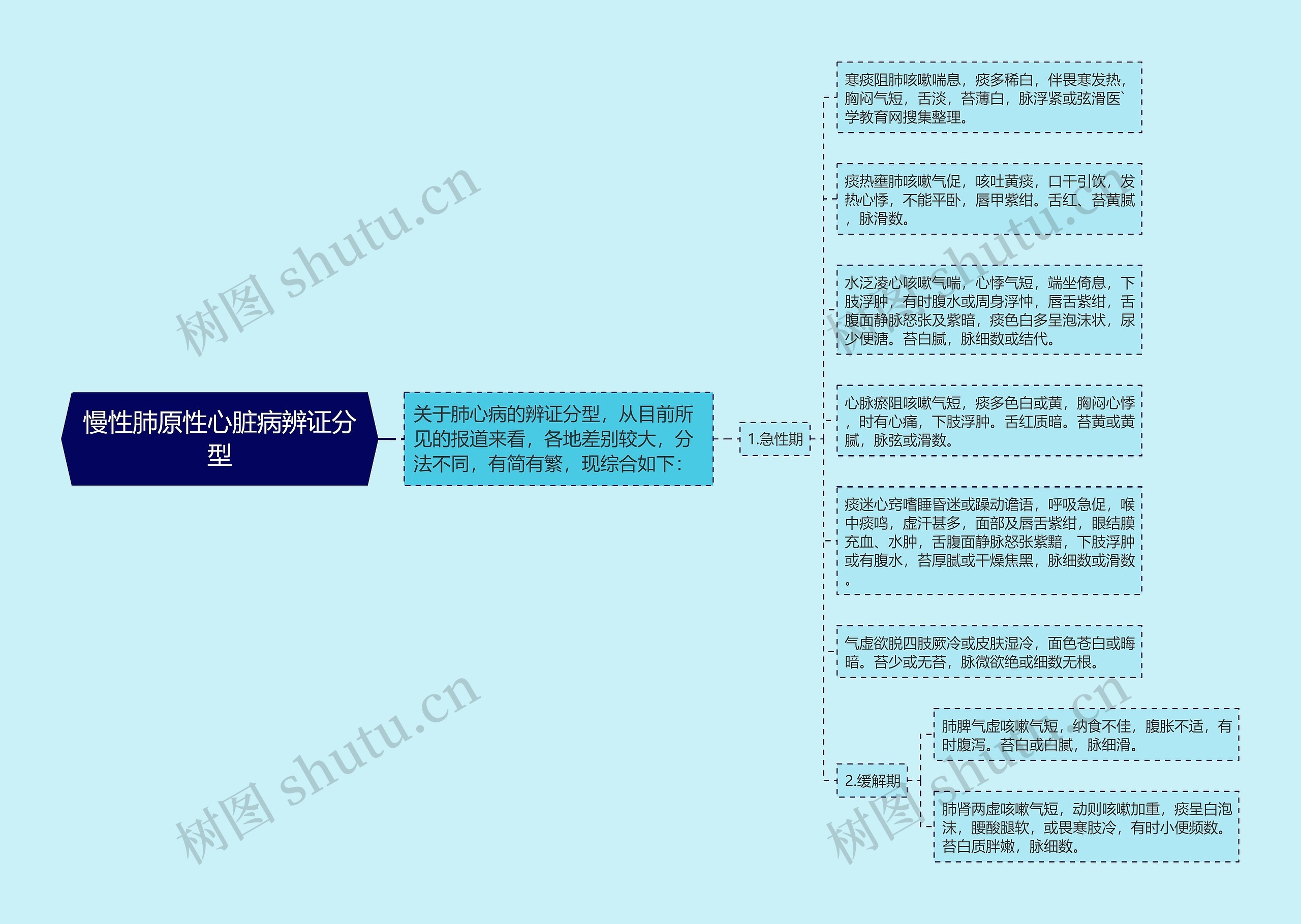 慢性肺原性心脏病辨证分型思维导图