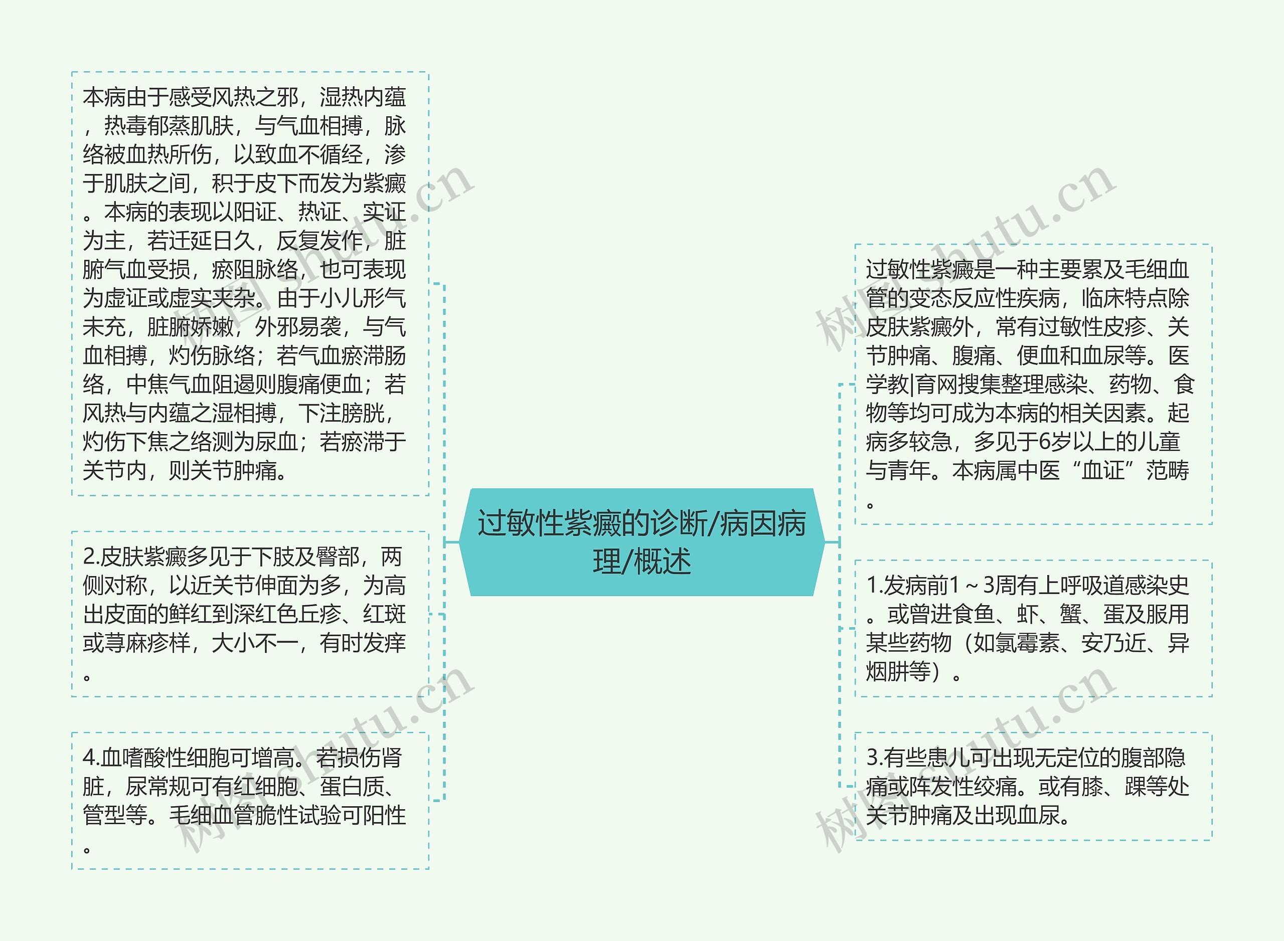 过敏性紫癜的诊断/病因病理/概述 过敏性紫癜的诊断/病因病理/概述