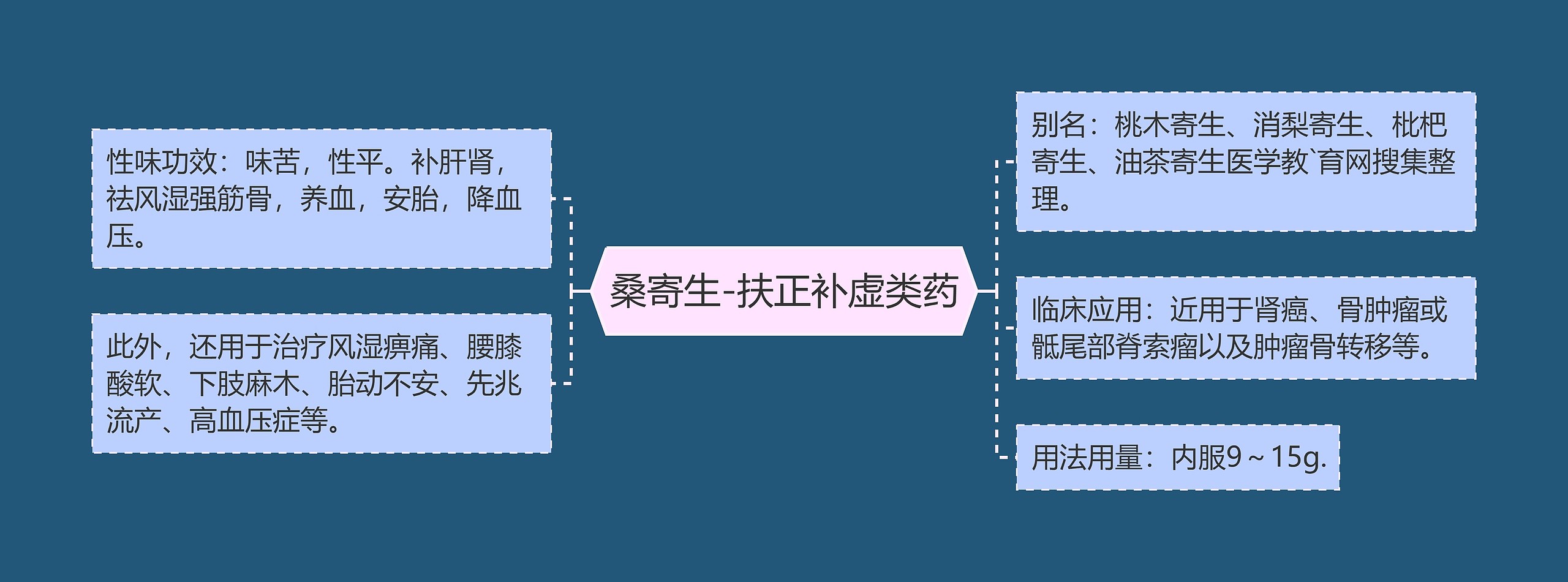 桑寄生-扶正补虚类药