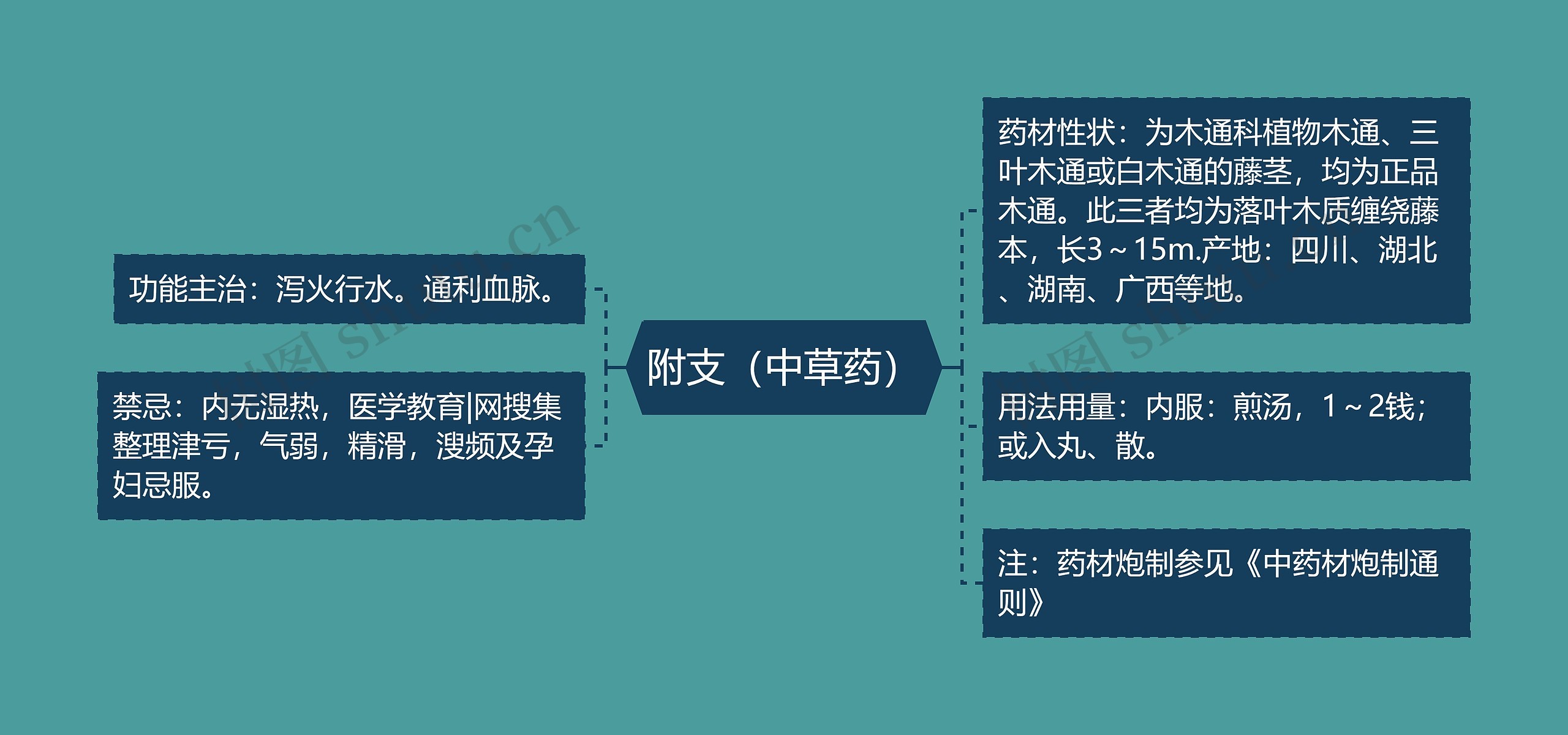 附支（中草药）思维导图