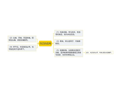 白芷的应用