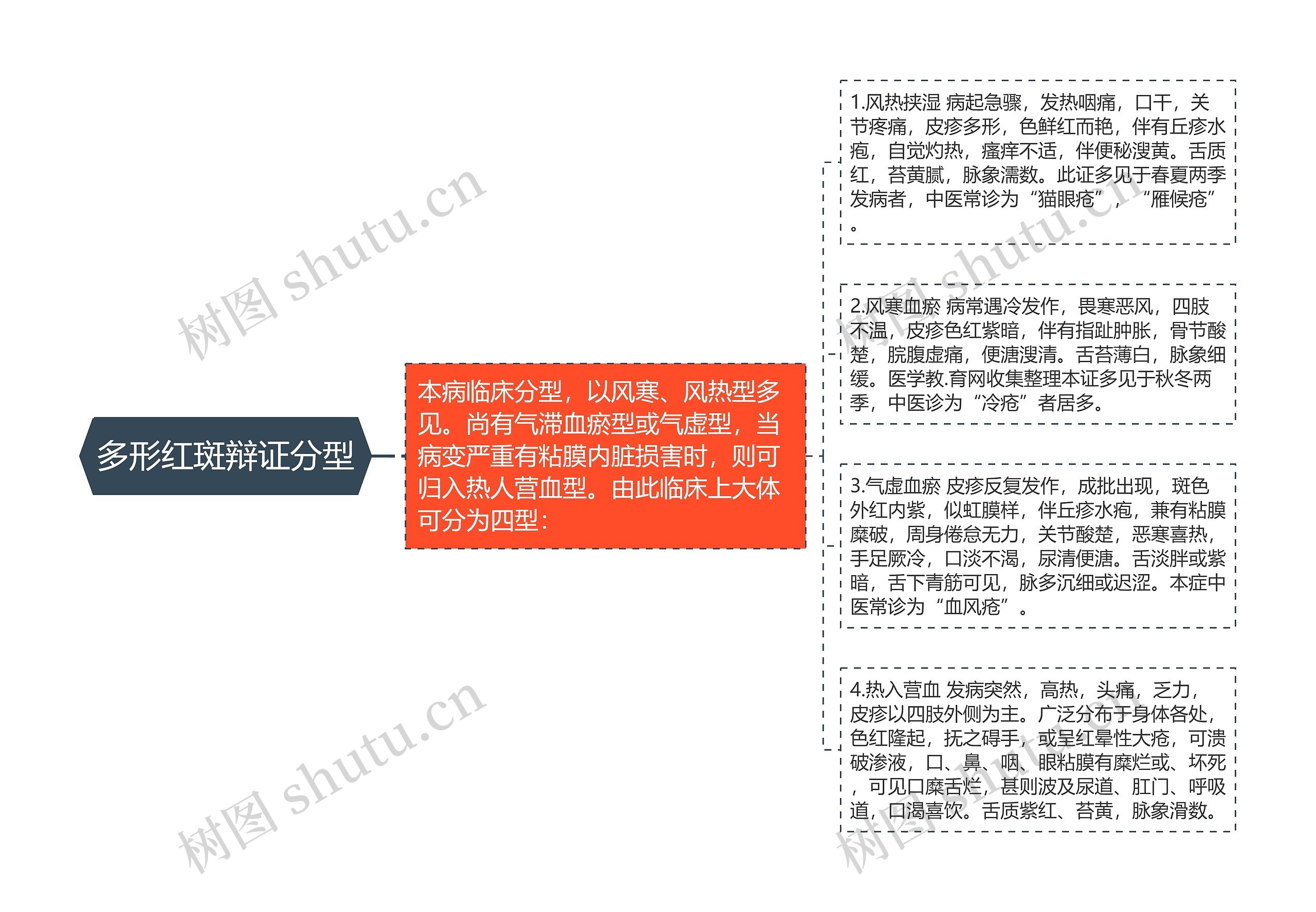 多形红斑辩证分型思维导图