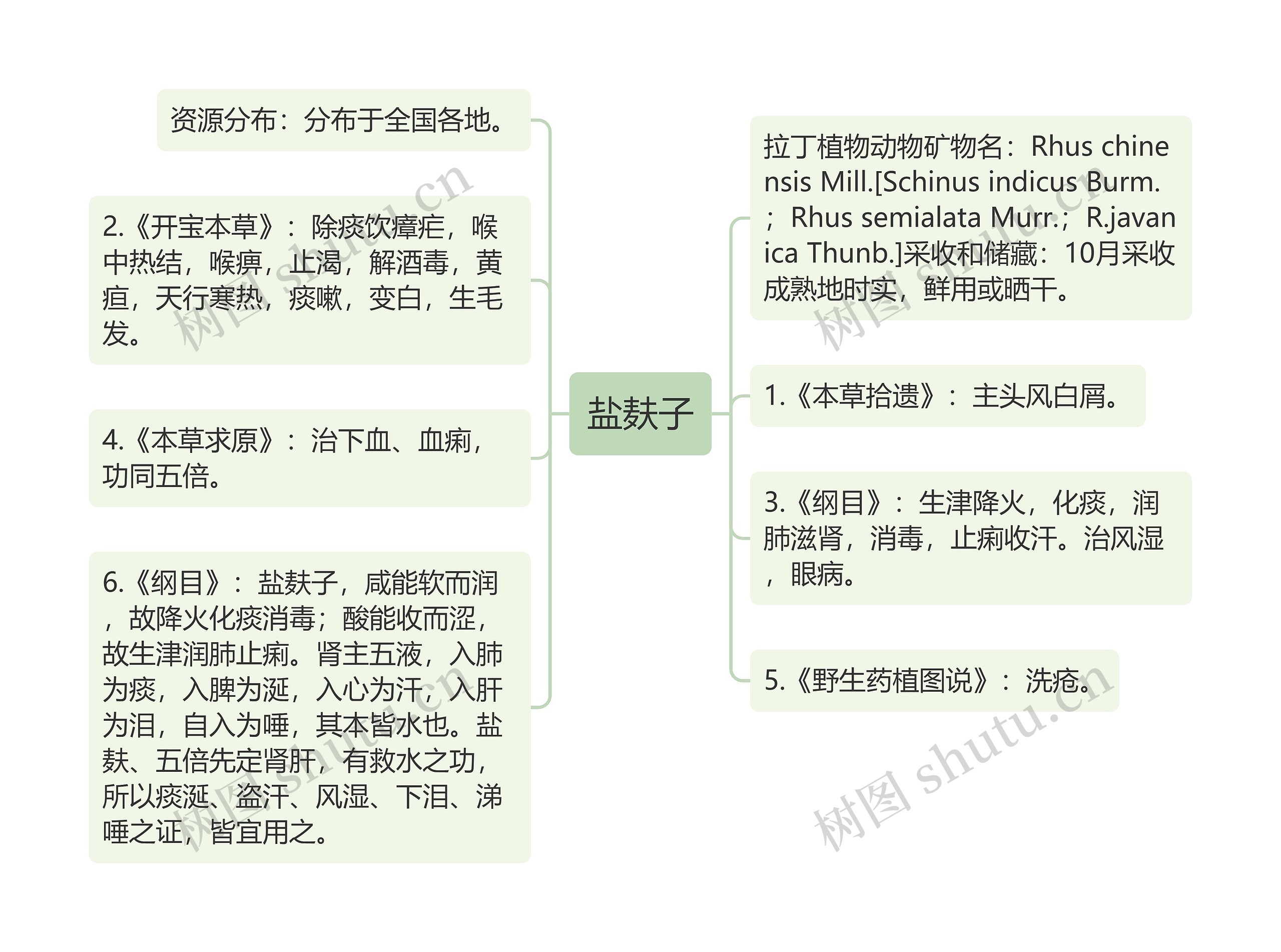 盐麸子思维导图