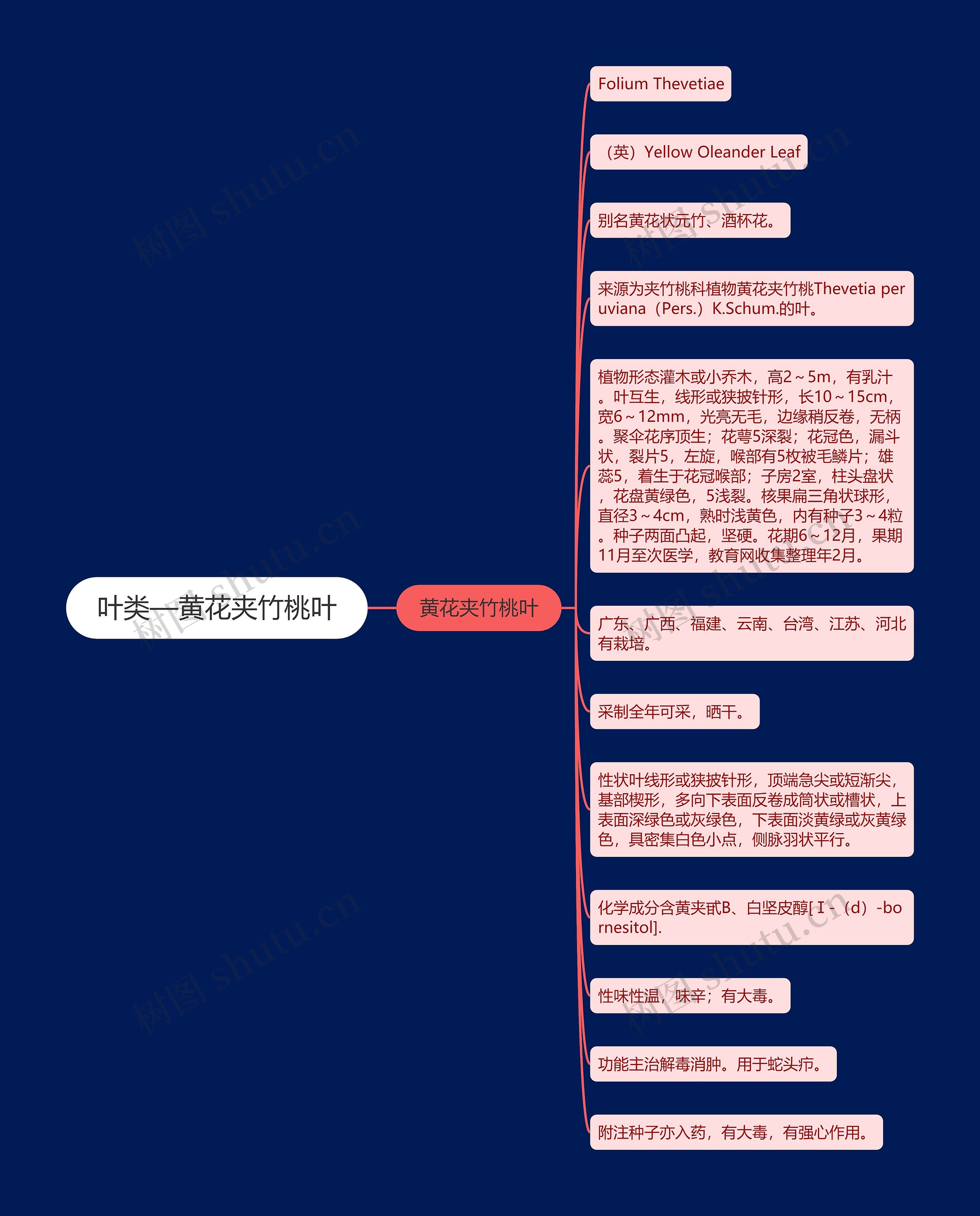 叶类—黄花夹竹桃叶 叶类—黄花夹竹桃叶