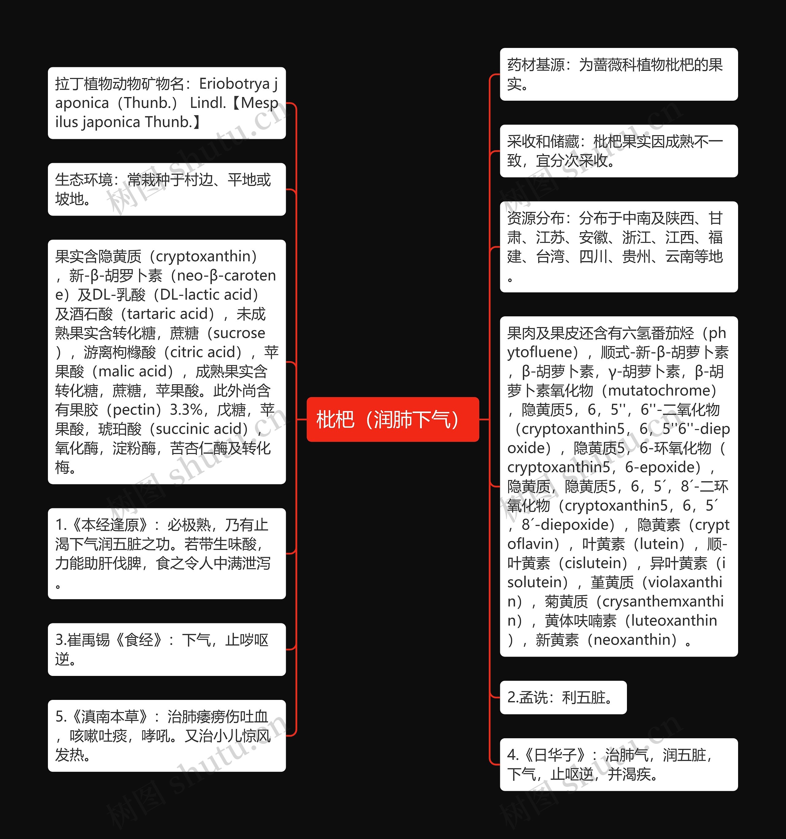 枇杷（润肺下气）