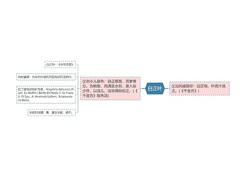 白芷叶